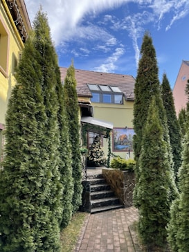 A pathway flanked by tall, lush green conifers leads to a stone staircase that ascends to an entrance. The building features a light yellow facade with a brown tiled roof, and a wall mural depicting a scenic view. The sky above is bright blue with wispy clouds, contributing to an inviting atmosphere.