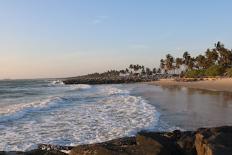 A serene beach view with gentle waves lapping against the shore and palm trees swaying in the breeze.