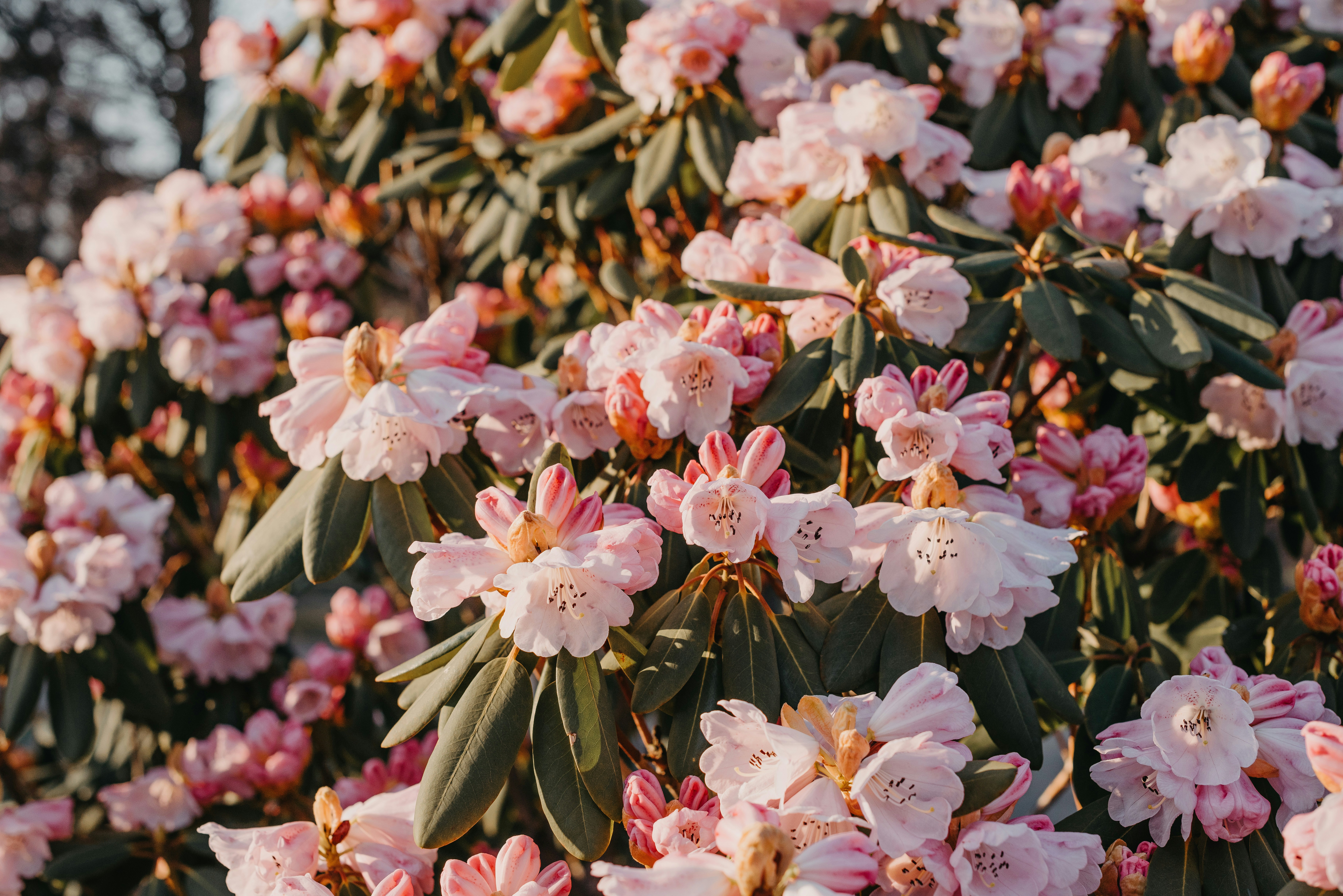 Photo by anitaaustvika