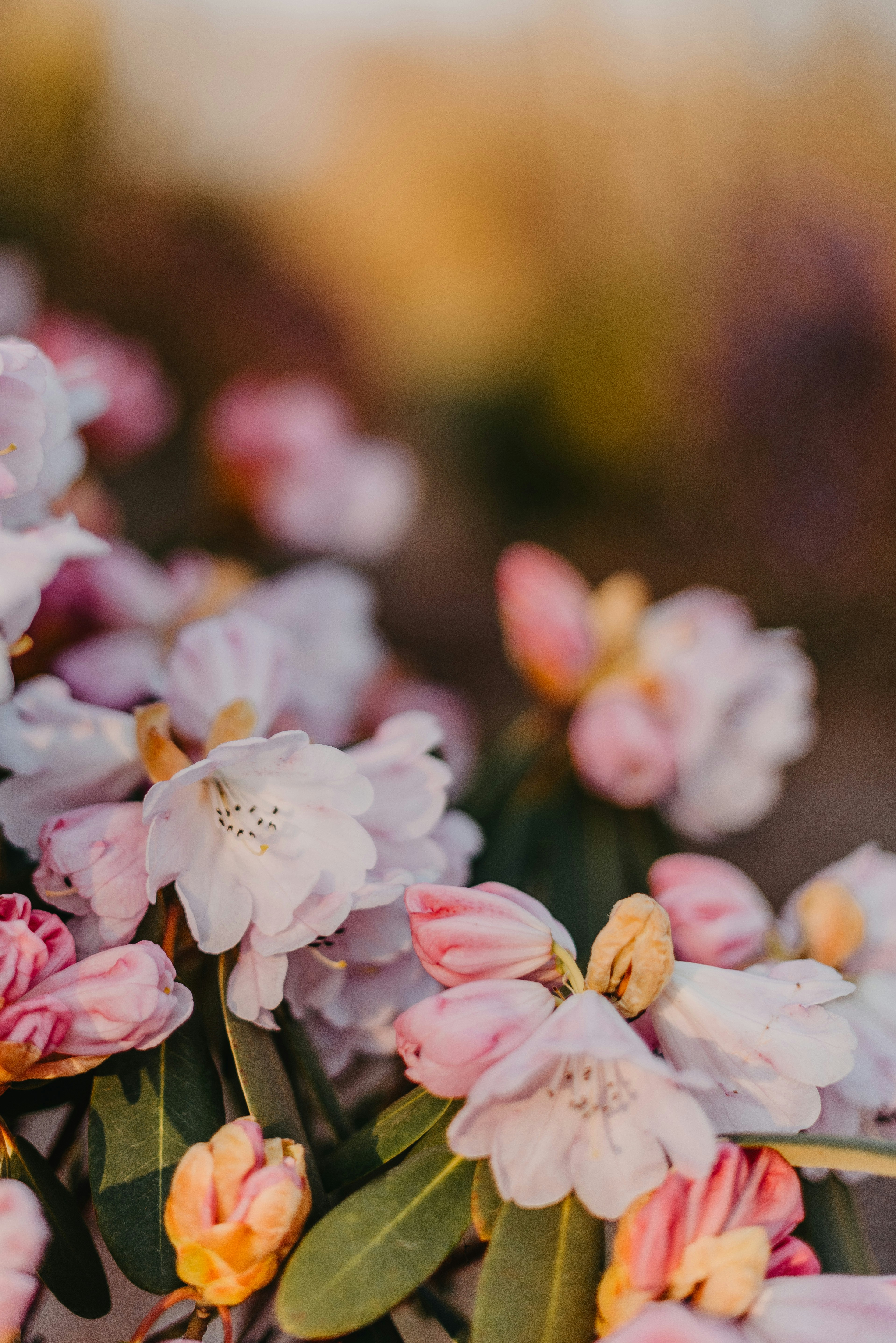 Photo by anitaaustvika