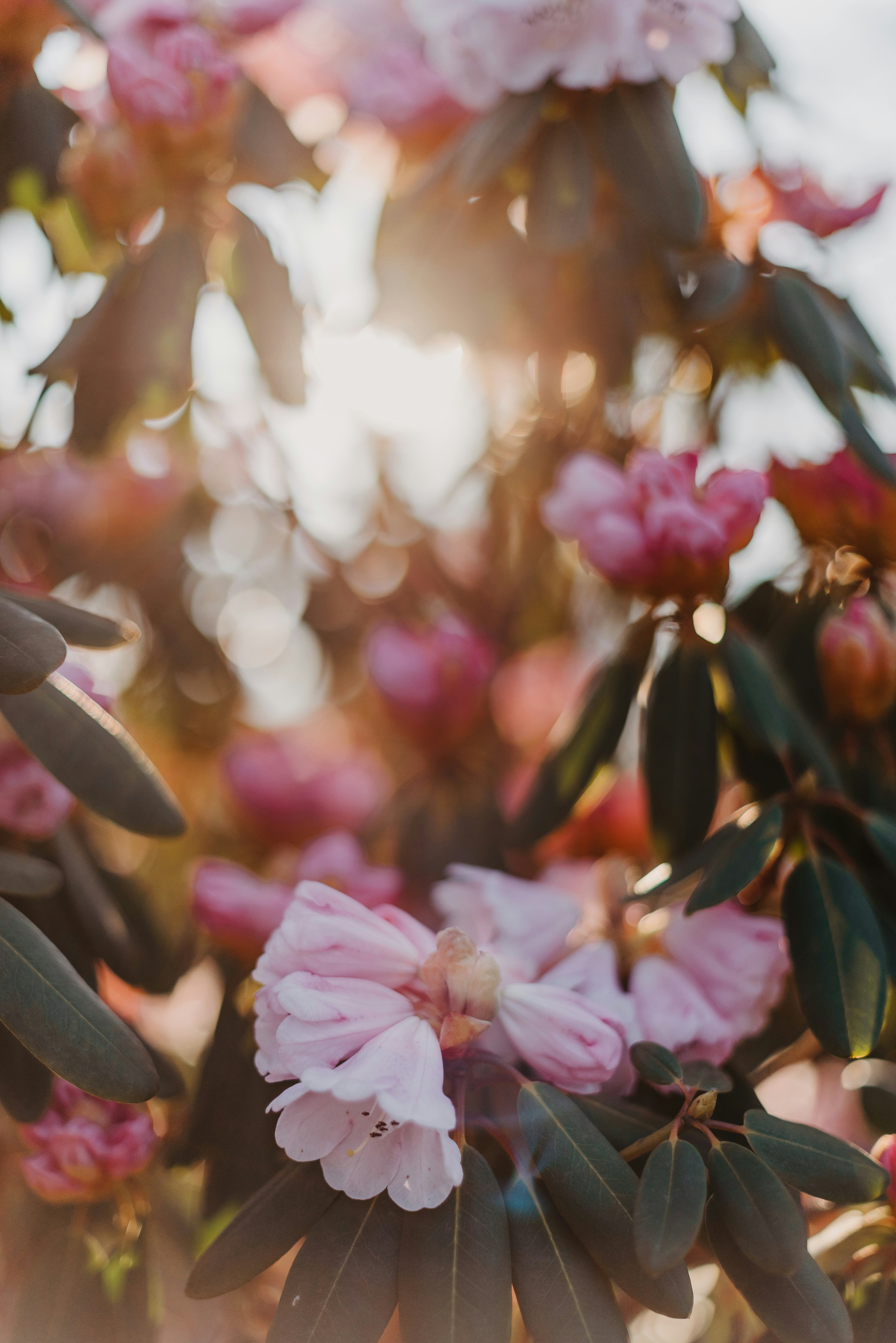 Photo by anitaaustvika