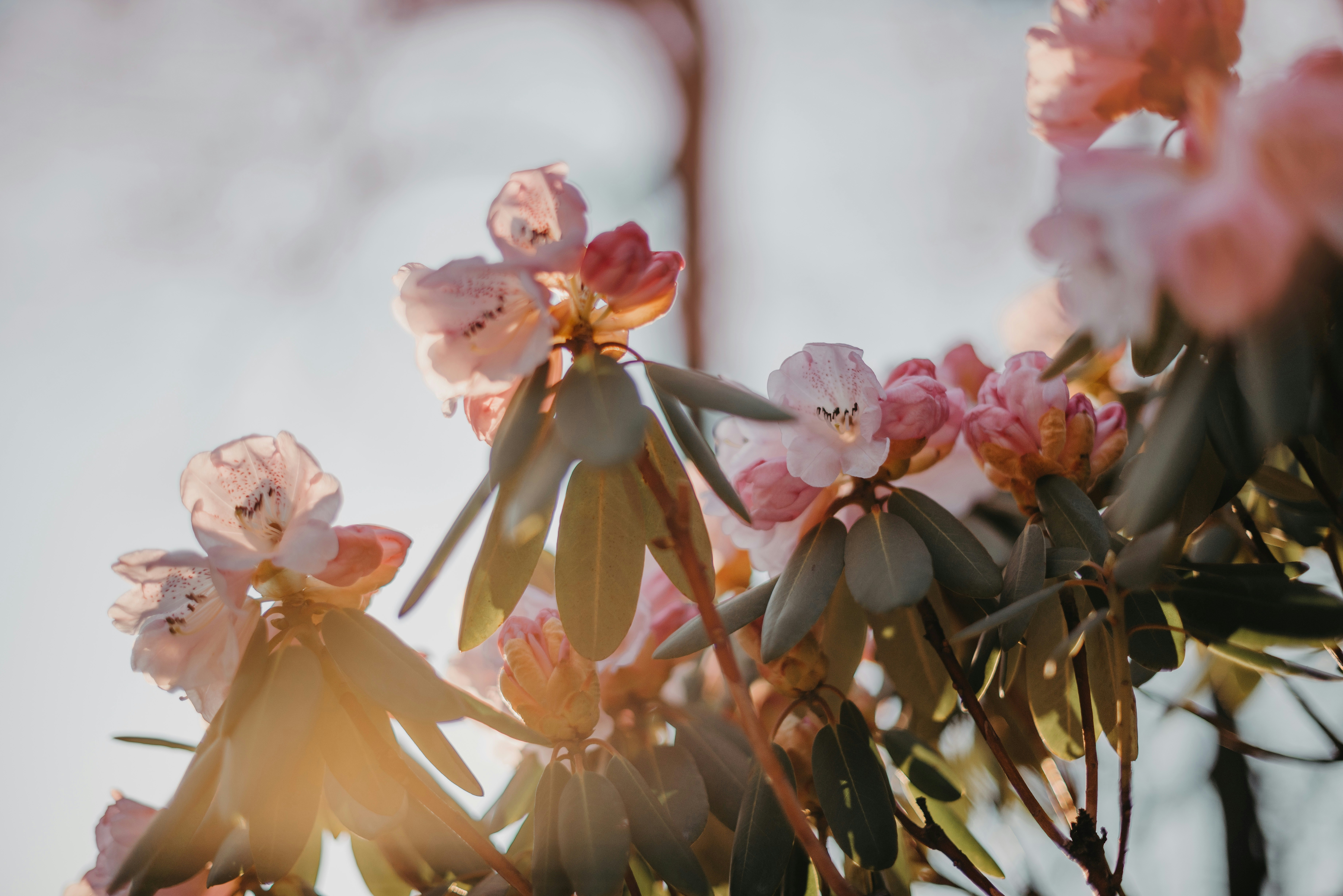 Photo by anitaaustvika