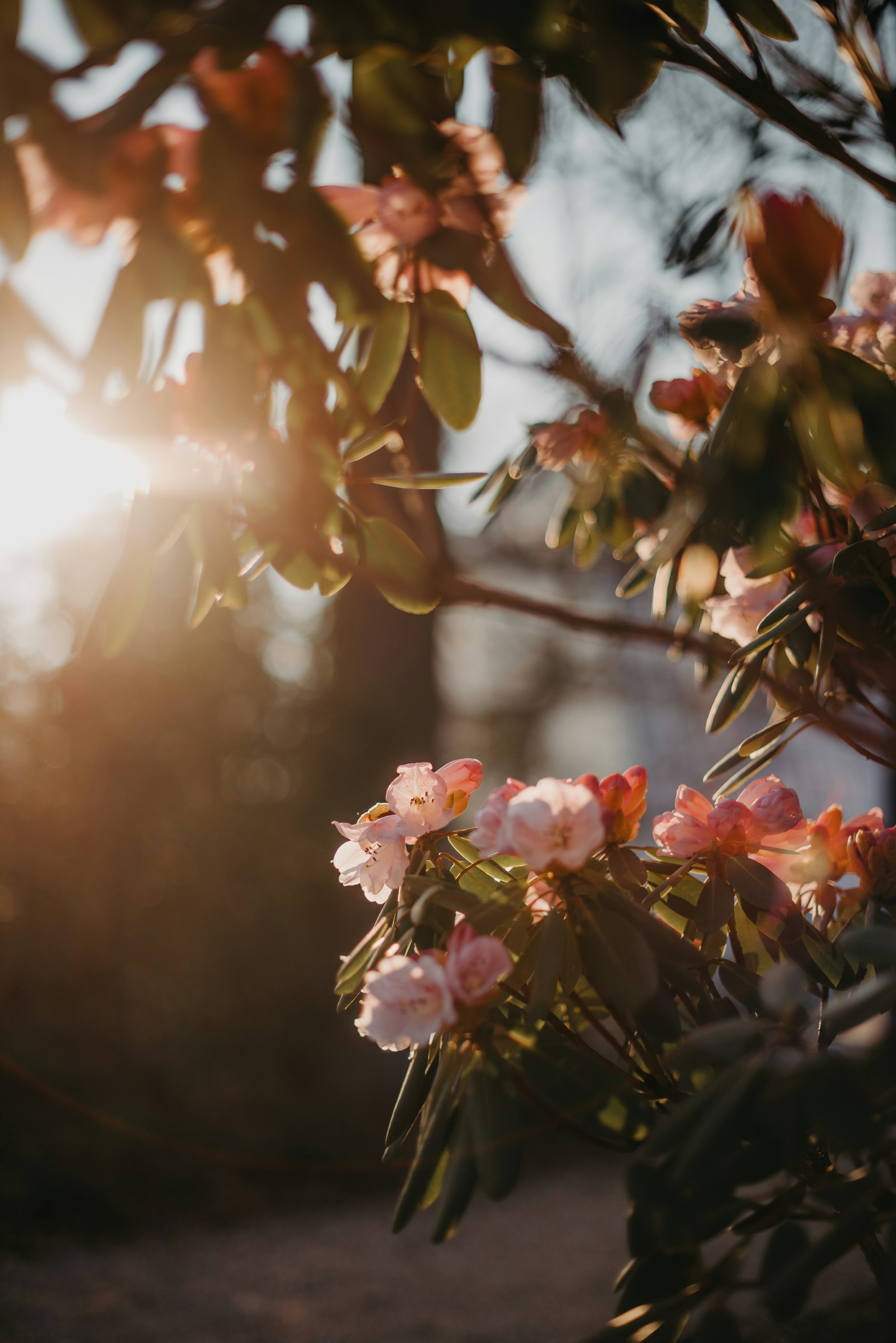 Photo by anitaaustvika