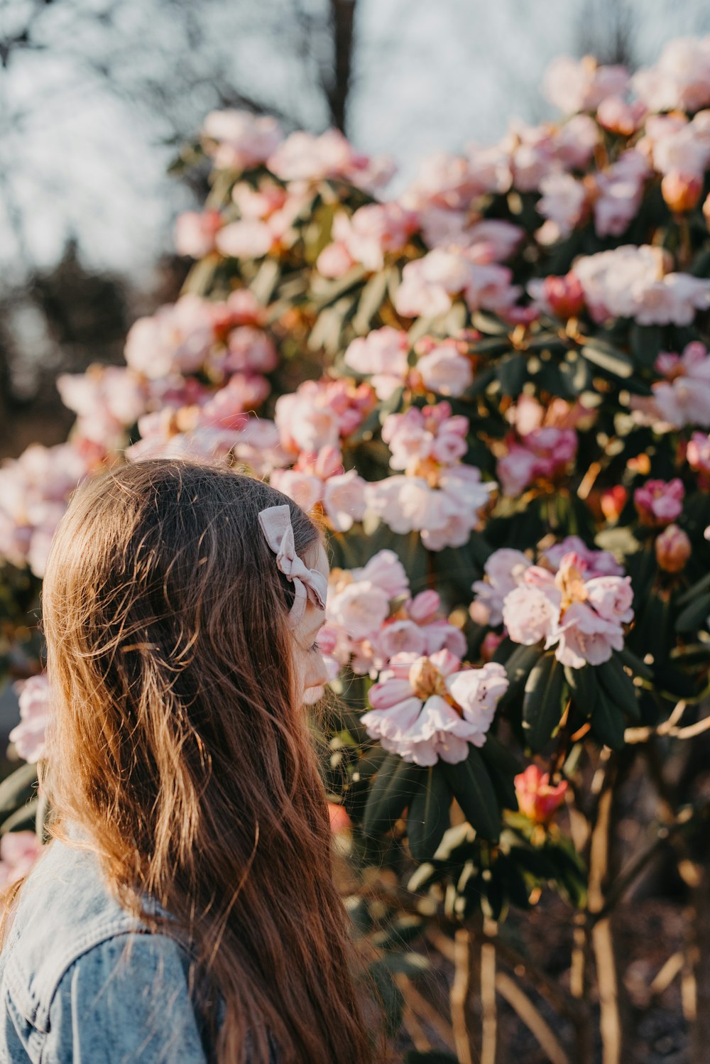 Una donna in piedi davanti a un cespuglio di fiori foto – Tramonto Immagine  gratuita su Unsplash