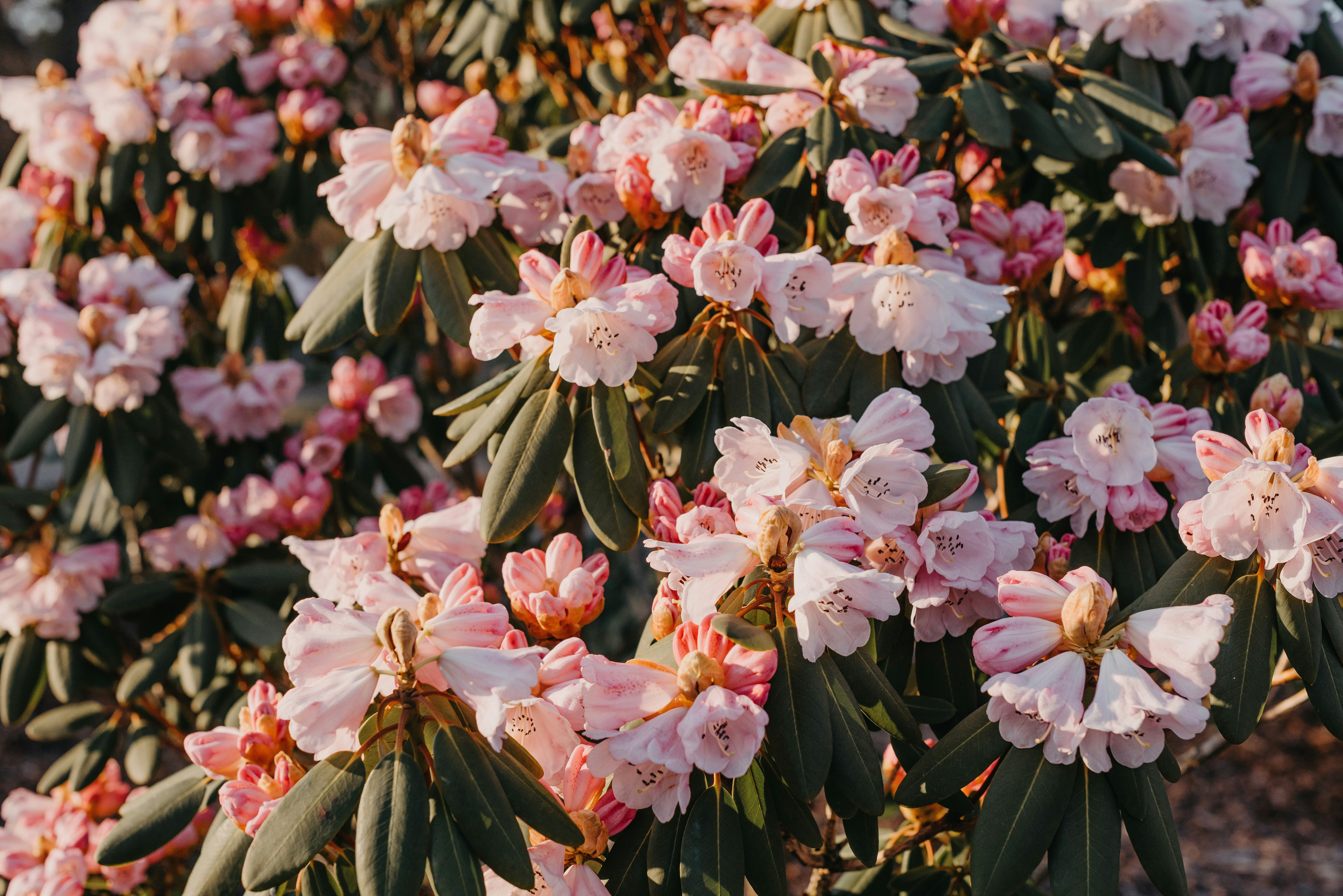 Photo by anitaaustvika