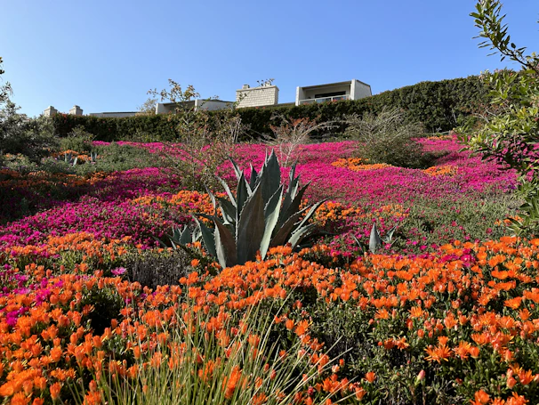Traditional chinampa gardens bursting with fresh vegetables and flowers under a bright sky.
