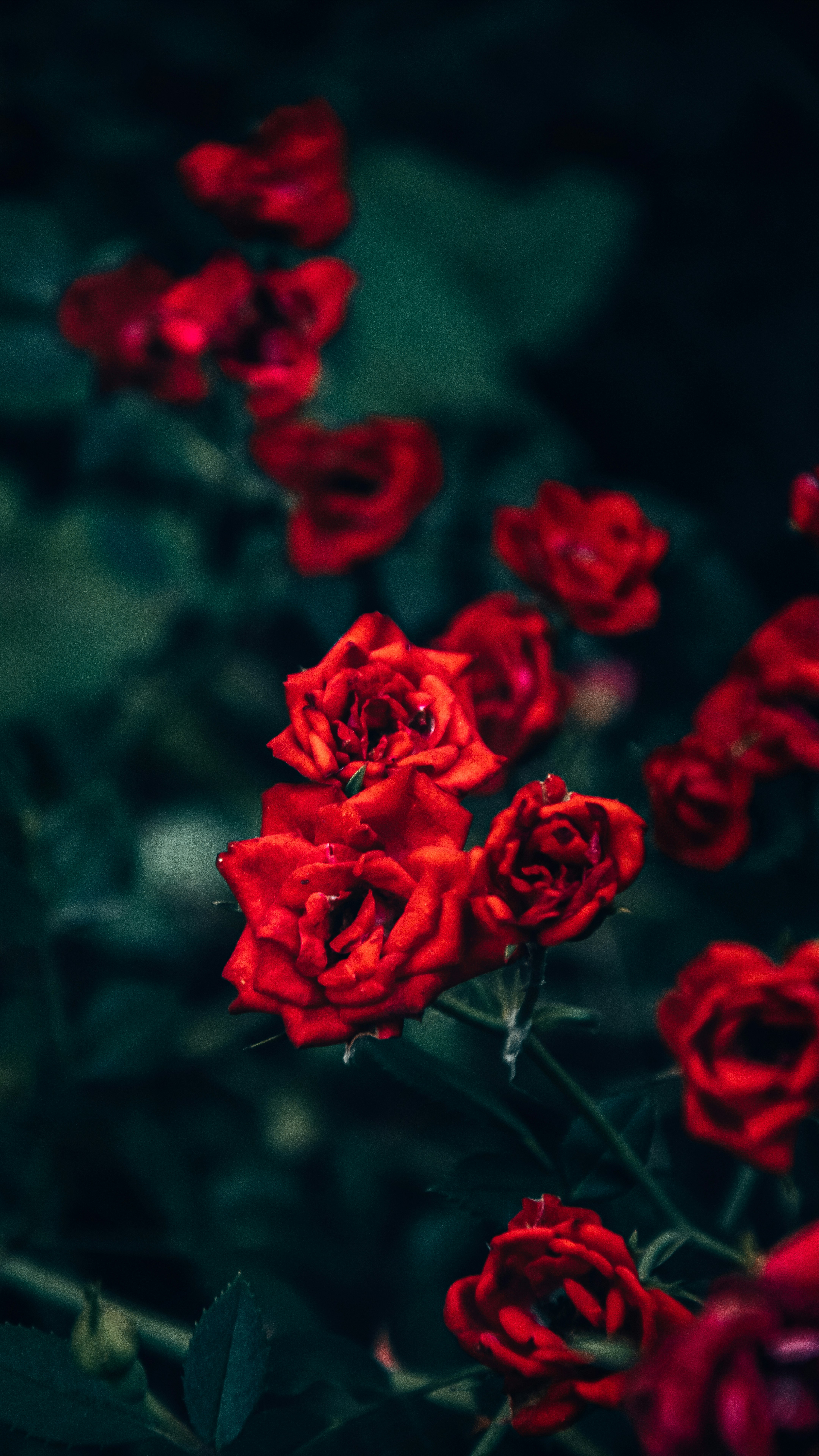 photo-1681545808623-3c1c6ce1ffed?ixid=M3wxMjA3fDB8MXxzZWFyY2h8MTF8fCVEMCVCQSVEMSU4MyVEMCVCRiVEMCVCOCVEMSU4MiVEMSU4QyUyMCVEMCVCQiVEMCVCNSVEMCVCMyVEMCVCQSVEMCVCRSVEMCVCMiVEMCVCRSVEMCVCOSUyMCVEMCVCRiVEMSU4MCVEMCVCOCVEMSU4NiVEMCVCNSVEMCVCRiUyMCVEMCVCNCVEMCVCQiVEMSU4RiUyMCVEMCVCRiVEMCVCNSVEMSU4MCVEMCVCNSVEMCVCMiVEMCVCRSVEMCVCNyVEMCVCQSVEMCVCOCUyMCVEMCVCMSVEMCVCRSVEMCVCQiVEMCVCRSVEMSU4MiVEMCVCRSVEMSU4NSVEMCVCRSVEMCVCNCVEMCVCMHxlbnwwfHx8fDE3NDI0NTUwNTB8MA\u0026ixlib=rb-4.0.3