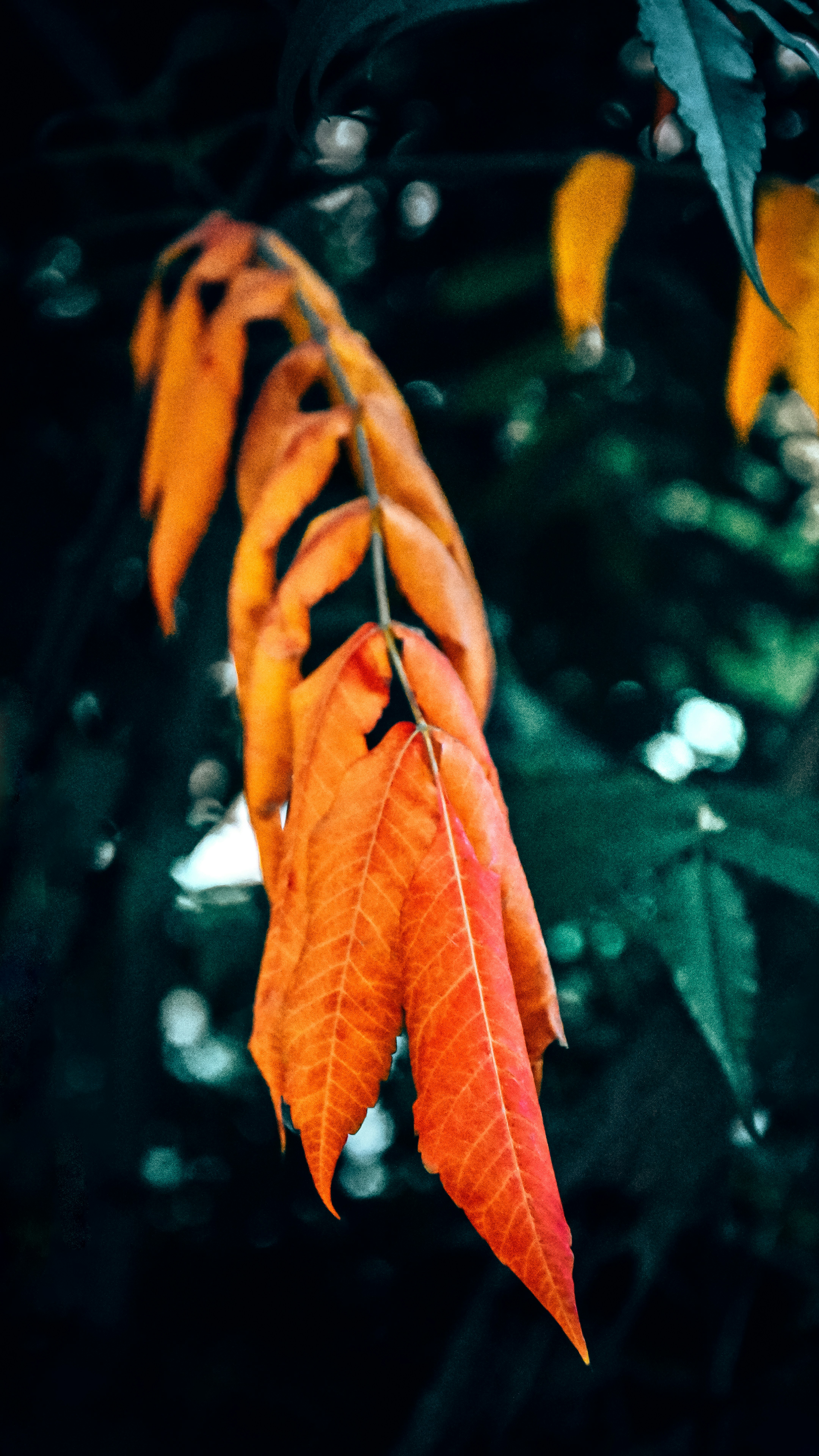 photo-1681545809025-5d9d8532e5ae?ixid=M3wxMjA3fDB8MXxzZWFyY2h8MTB8fCVEMCVCQSVEMCVCQiVEMCVCMCVEMSU4MSVEMSU4MSVEMCVCOCVEMSU4NyVEMCVCNSVEMSU4MSVEMCVCQSVEMCVCMCVEMSU4RiUyMCVEMCVCQyVEMCVCNSVEMCVCMSVEMCVCNSVEMCVCQiVEMSU4QyUyMCVEMSU4NCVEMCVCRSVEMSU4MiVEMCVCRSUyMCVEMCVCOCUyMCVEMSU4NiVEMCVCNSVEMCVCRCVEMSU4QnxlbnwwfHx8fDE3MzQxNjQwMTF8MA&ixlib=rb-4.0 Мебель стиль спальни классический интерьер