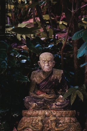 A weathered stone statue of an elderly monk is surrounded by dense foliage. The monk is seated in a meditative posture, wearing a traditional robe, with a serene and wise expression. The environment is lush, with various shades of green from the leaves, giving an impression of an overgrown forest or garden.