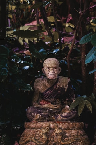 A serene portrait of the monk smiling gently in a sunlit forest.