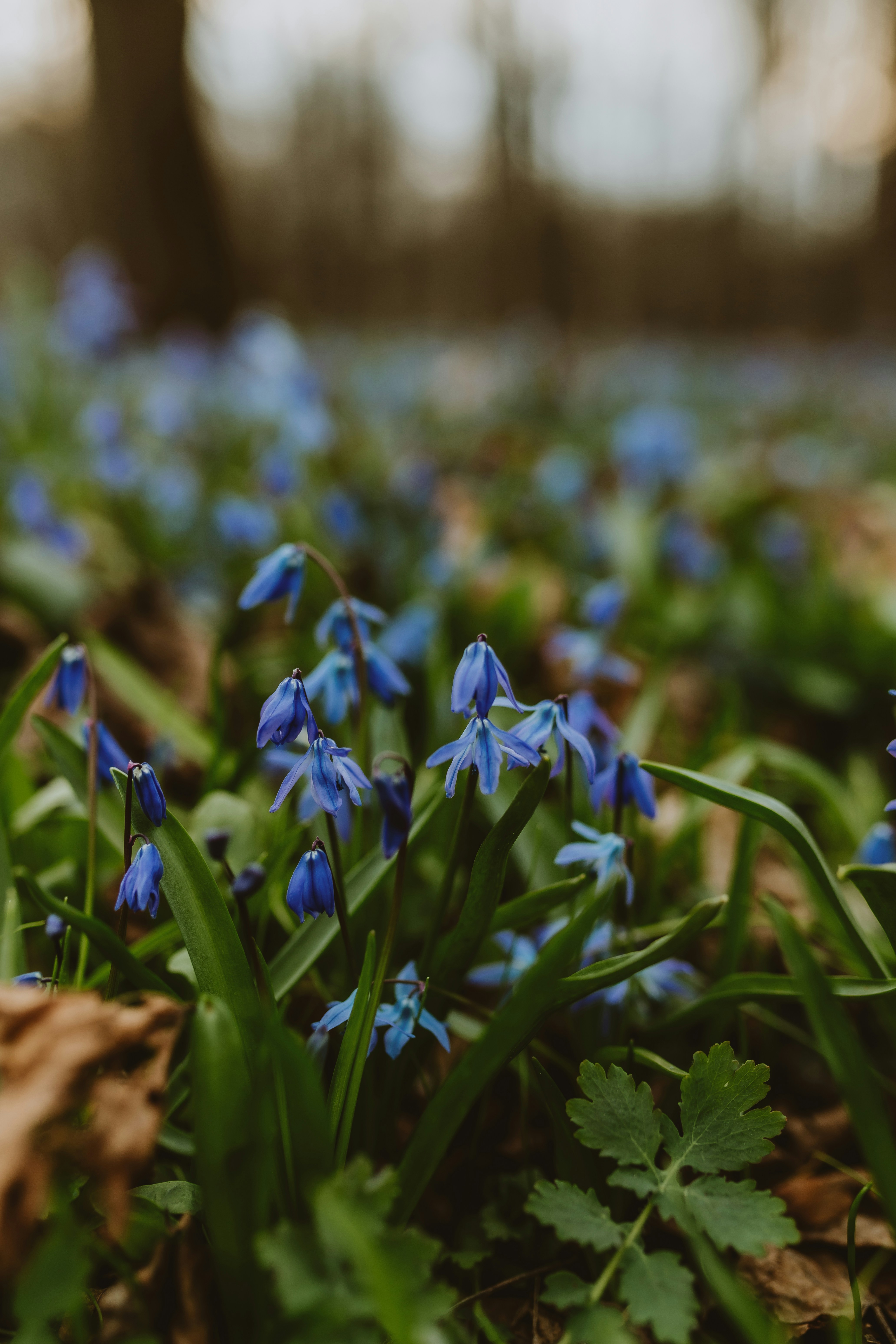 Photo by daiga_ellaby