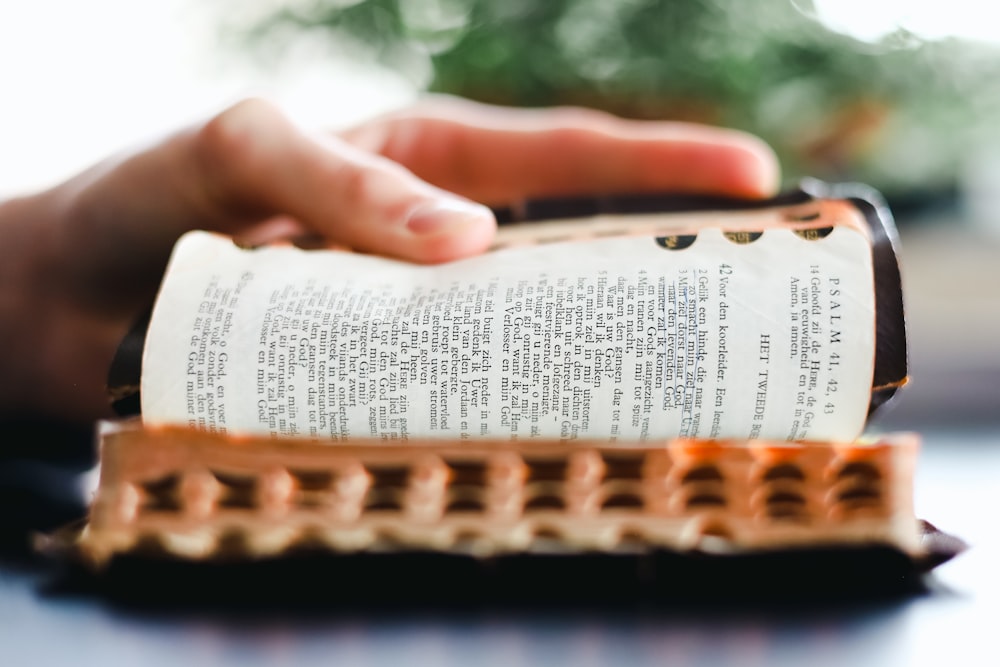 a person reading a book on top of a table