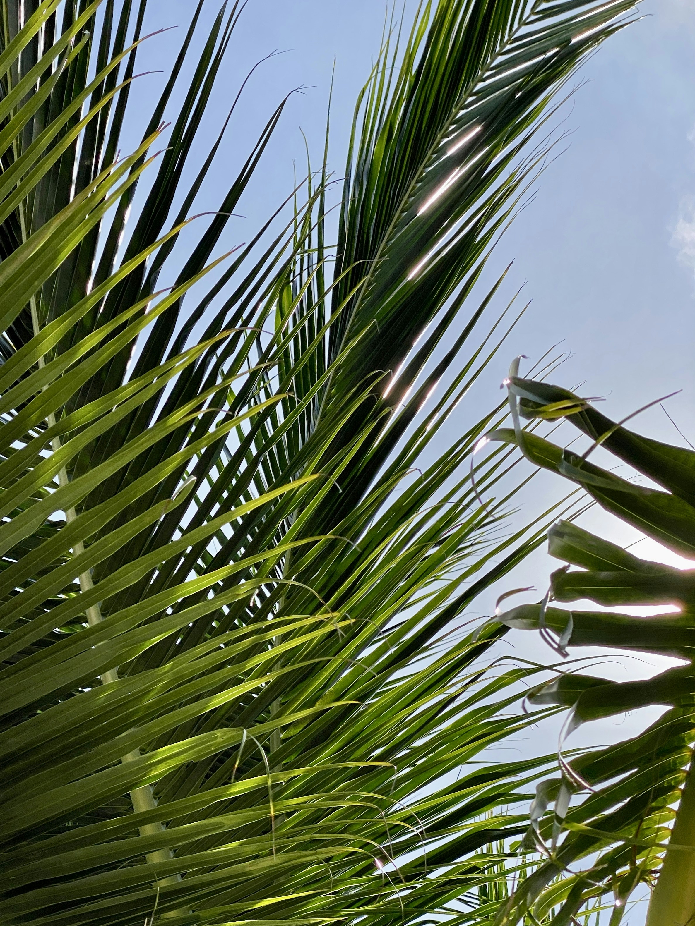 Photo by florianschmid