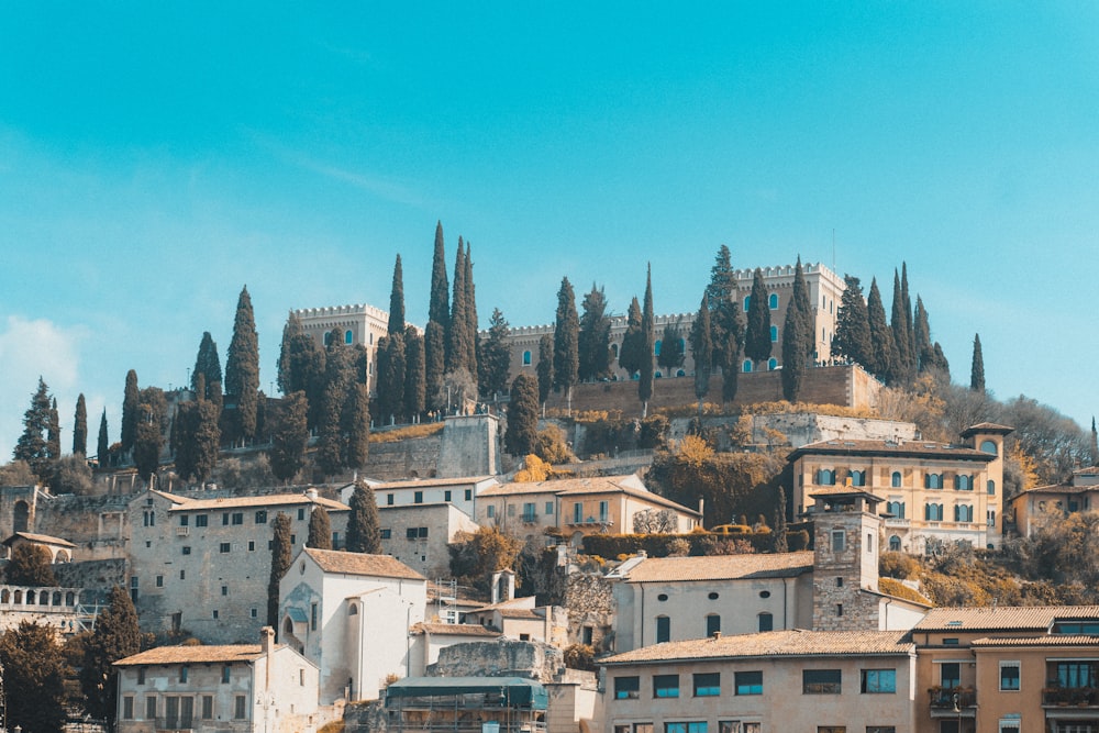 a view of a city with a castle on top of it