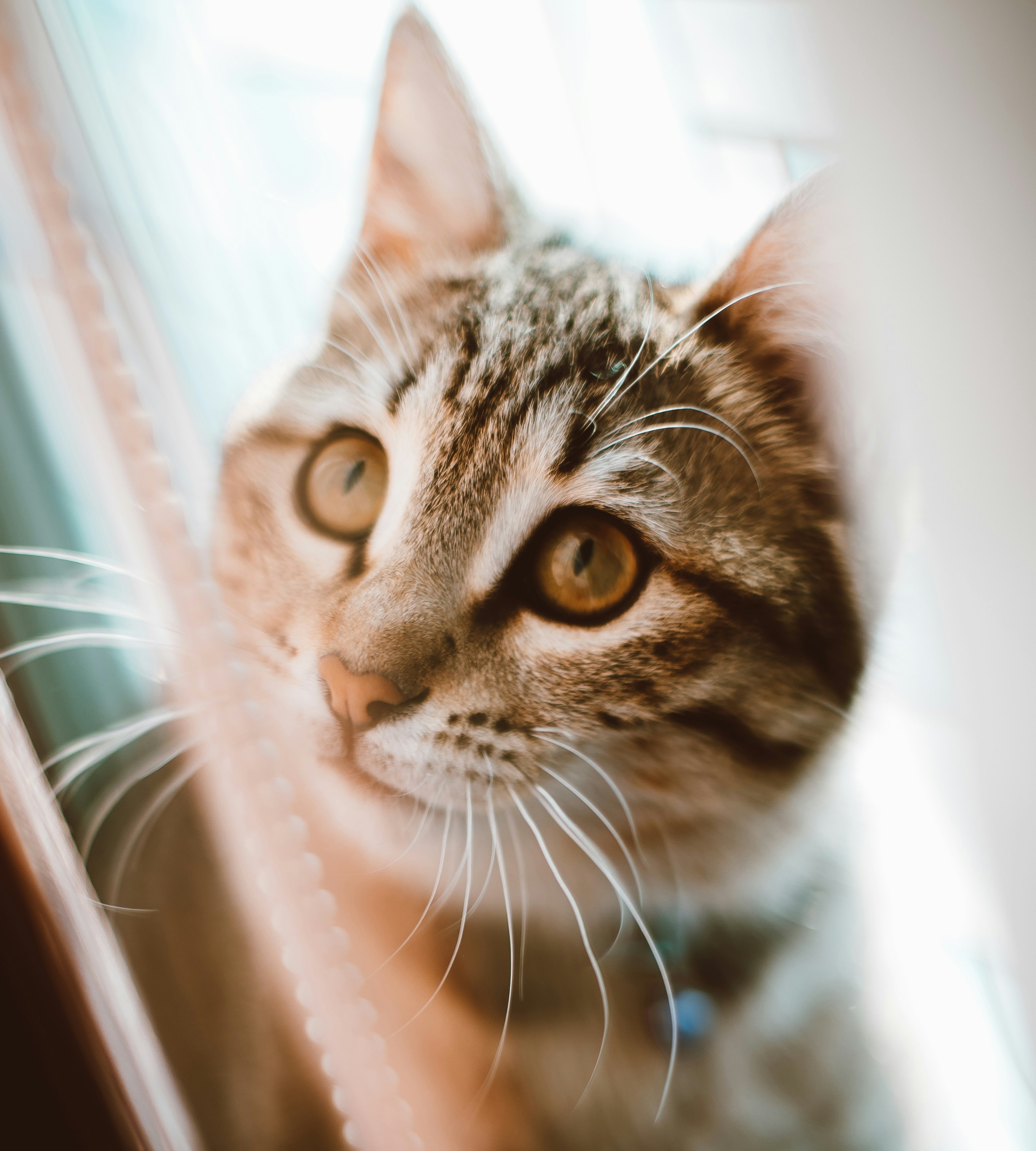 Photo by mehranbiabani