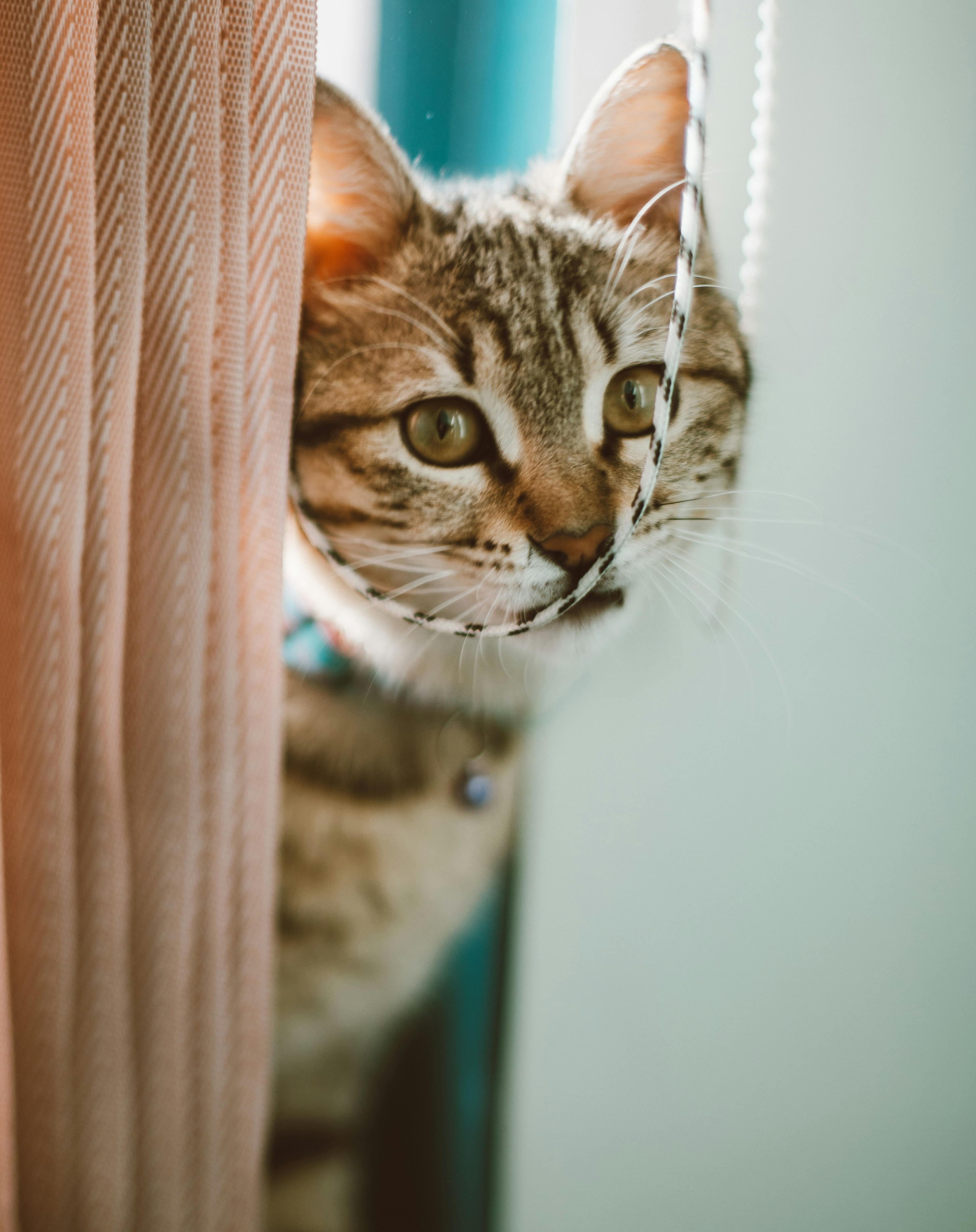 Photo by mehranbiabani