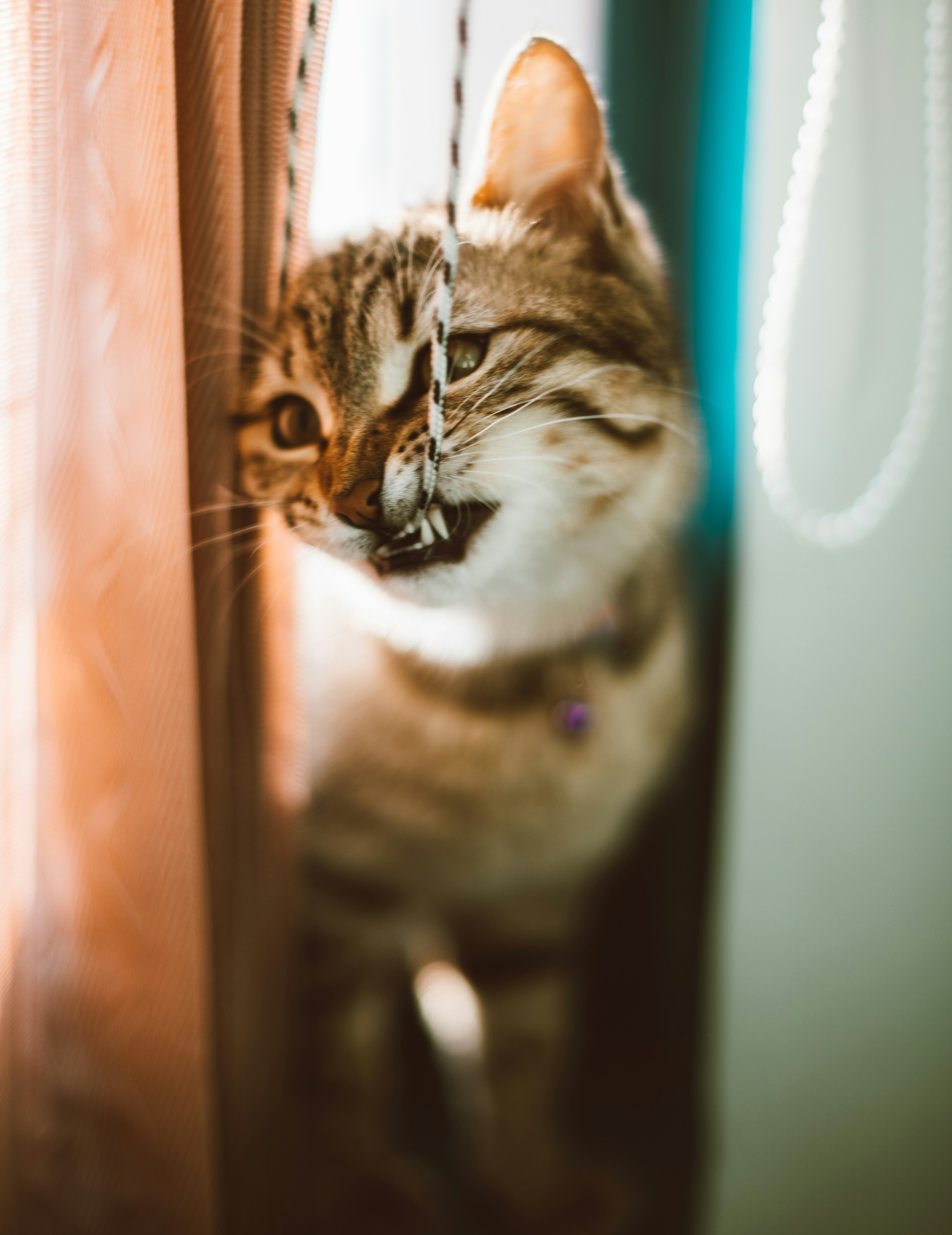 Photo by mehranbiabani