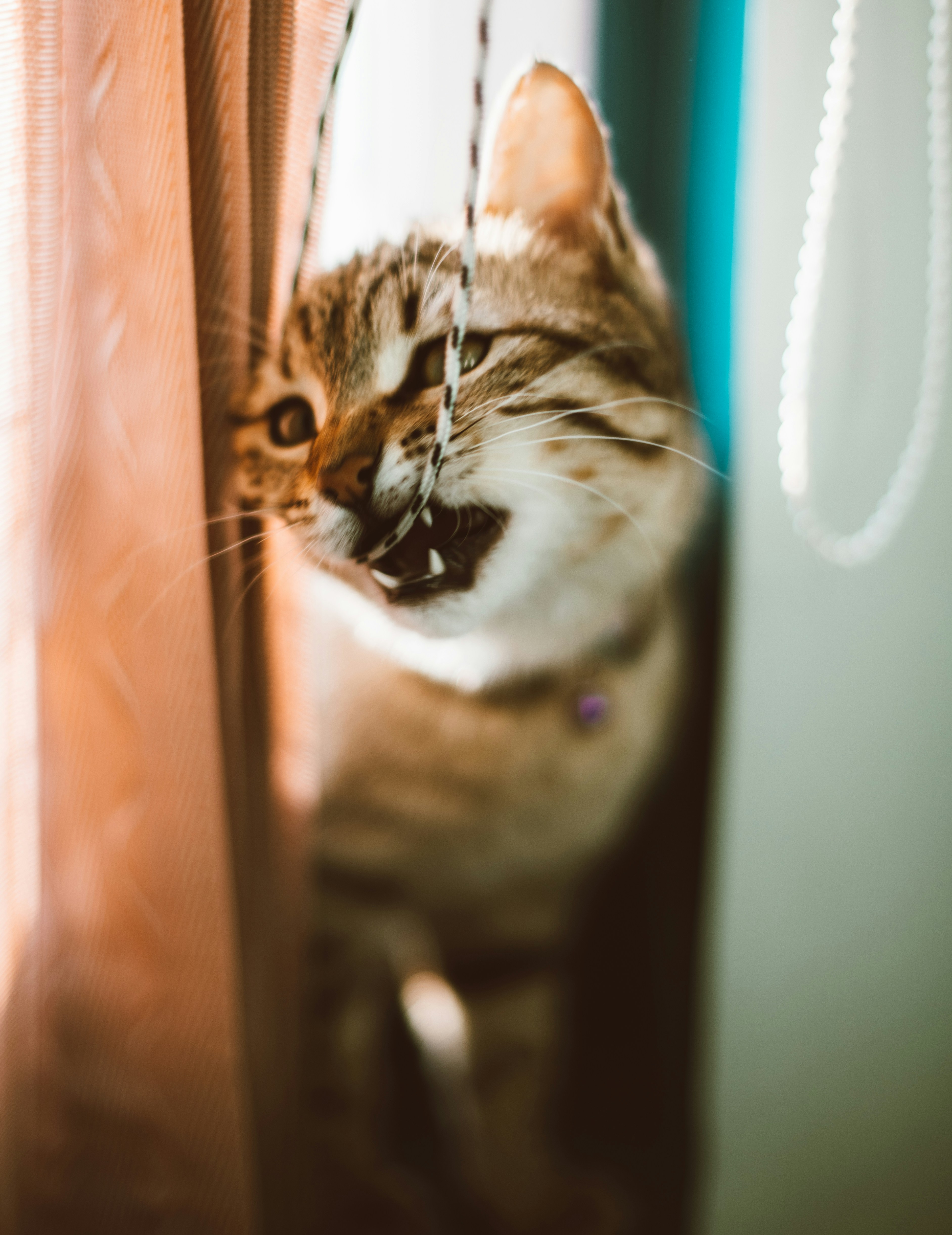 Photo by mehranbiabani