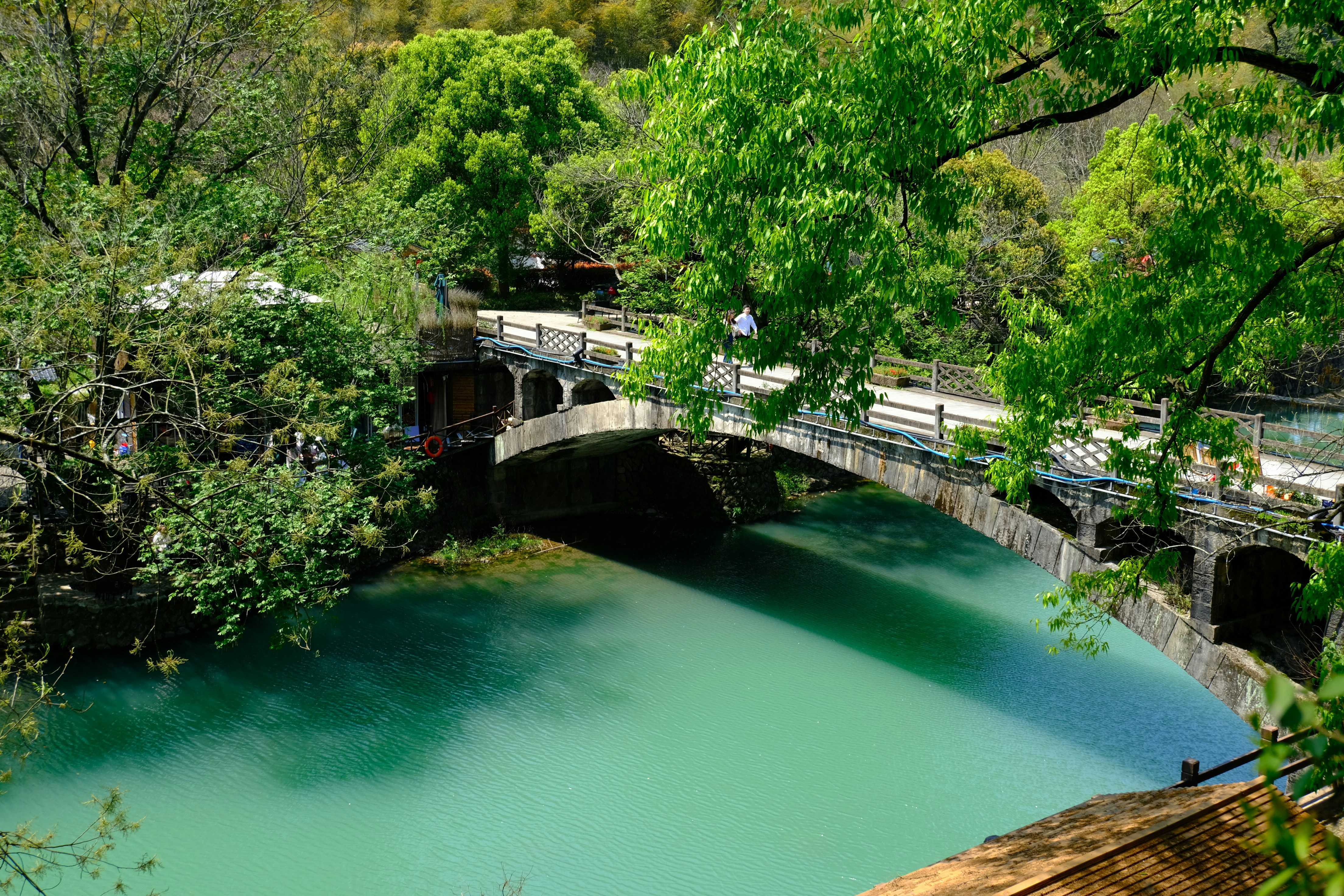 a bridge over a body of water surrounded by trees, Ancient village, Maoping village