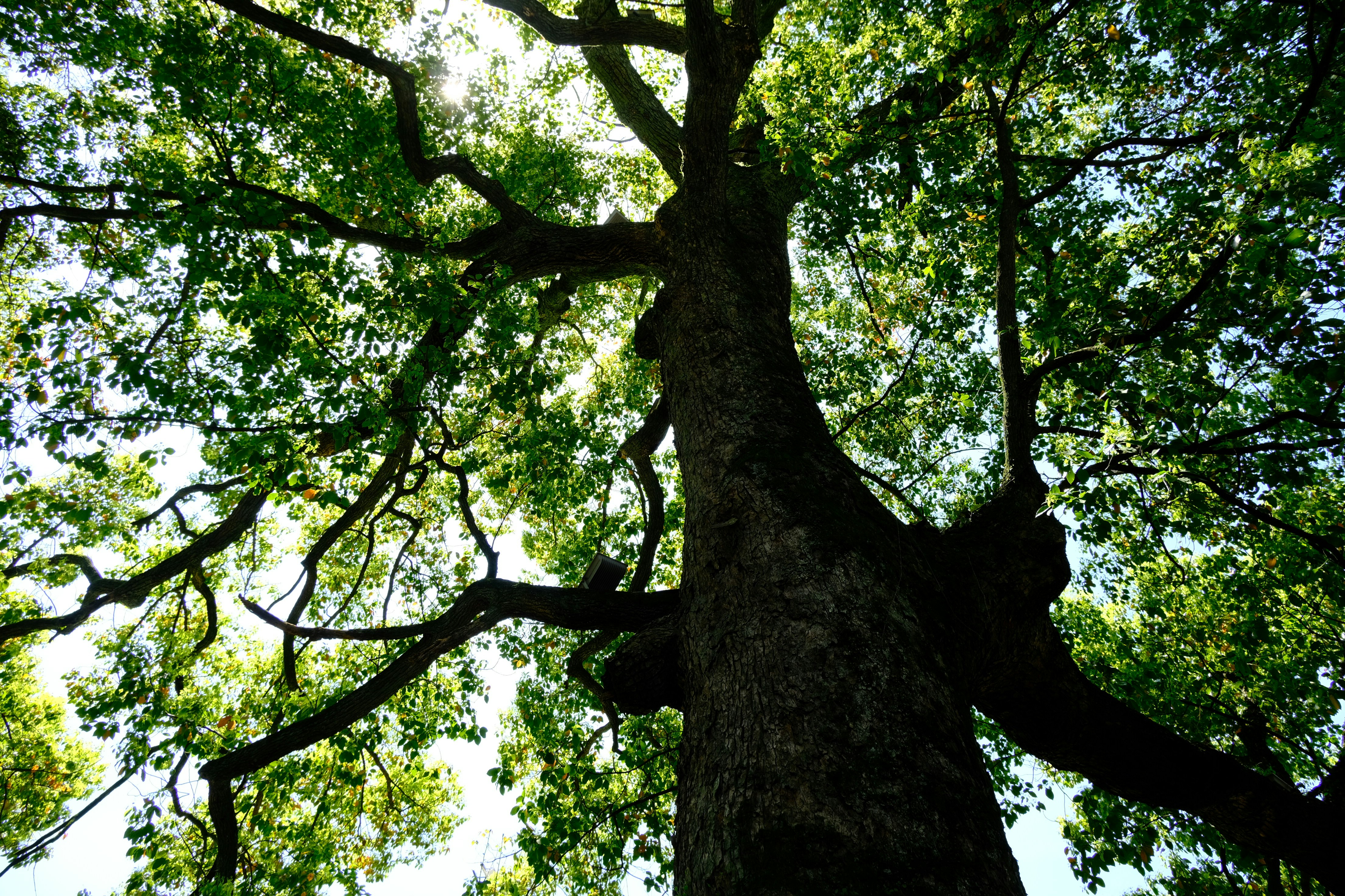 Photo by alchimiste_cici