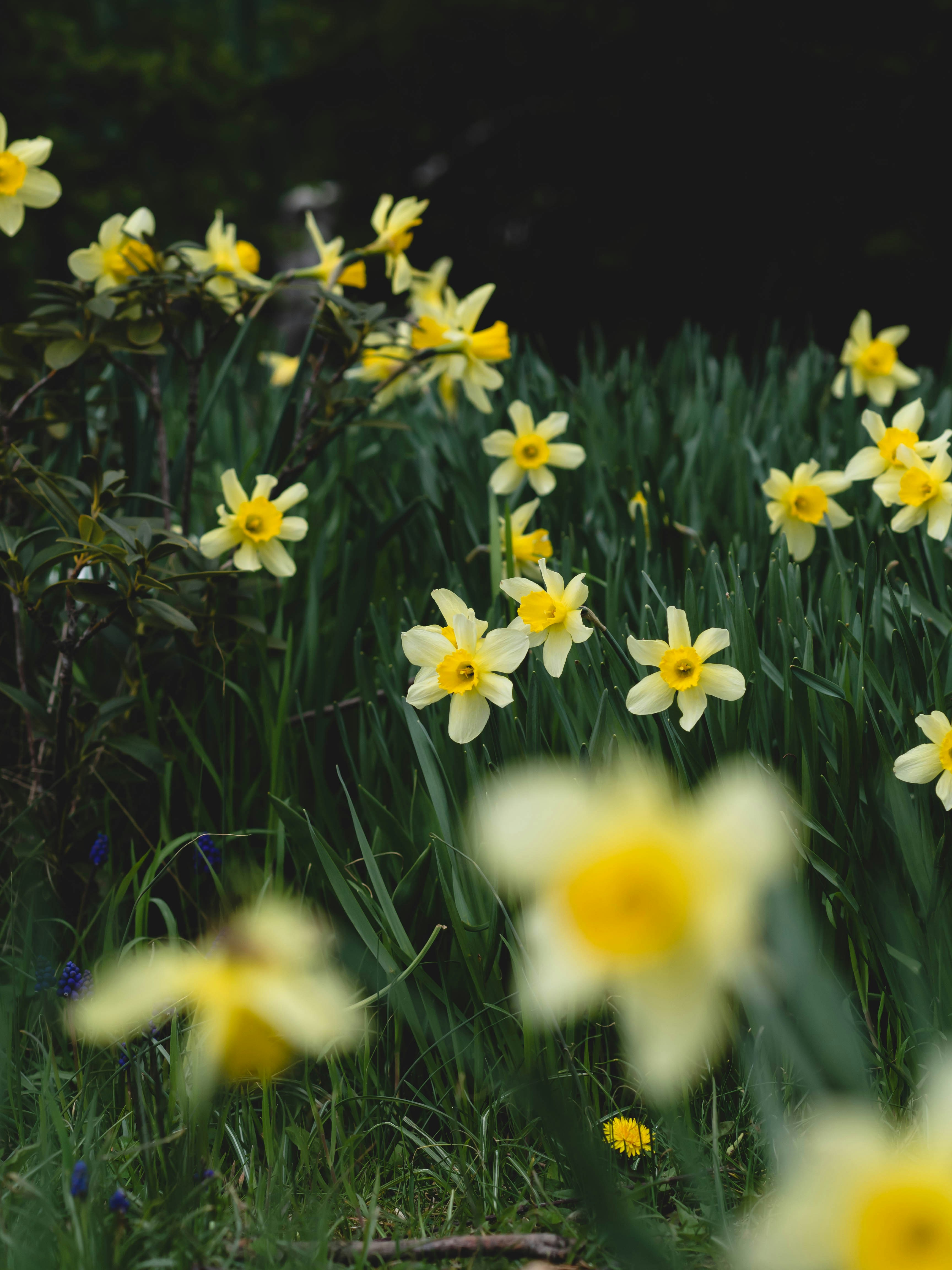 Photo by eileen_kummer