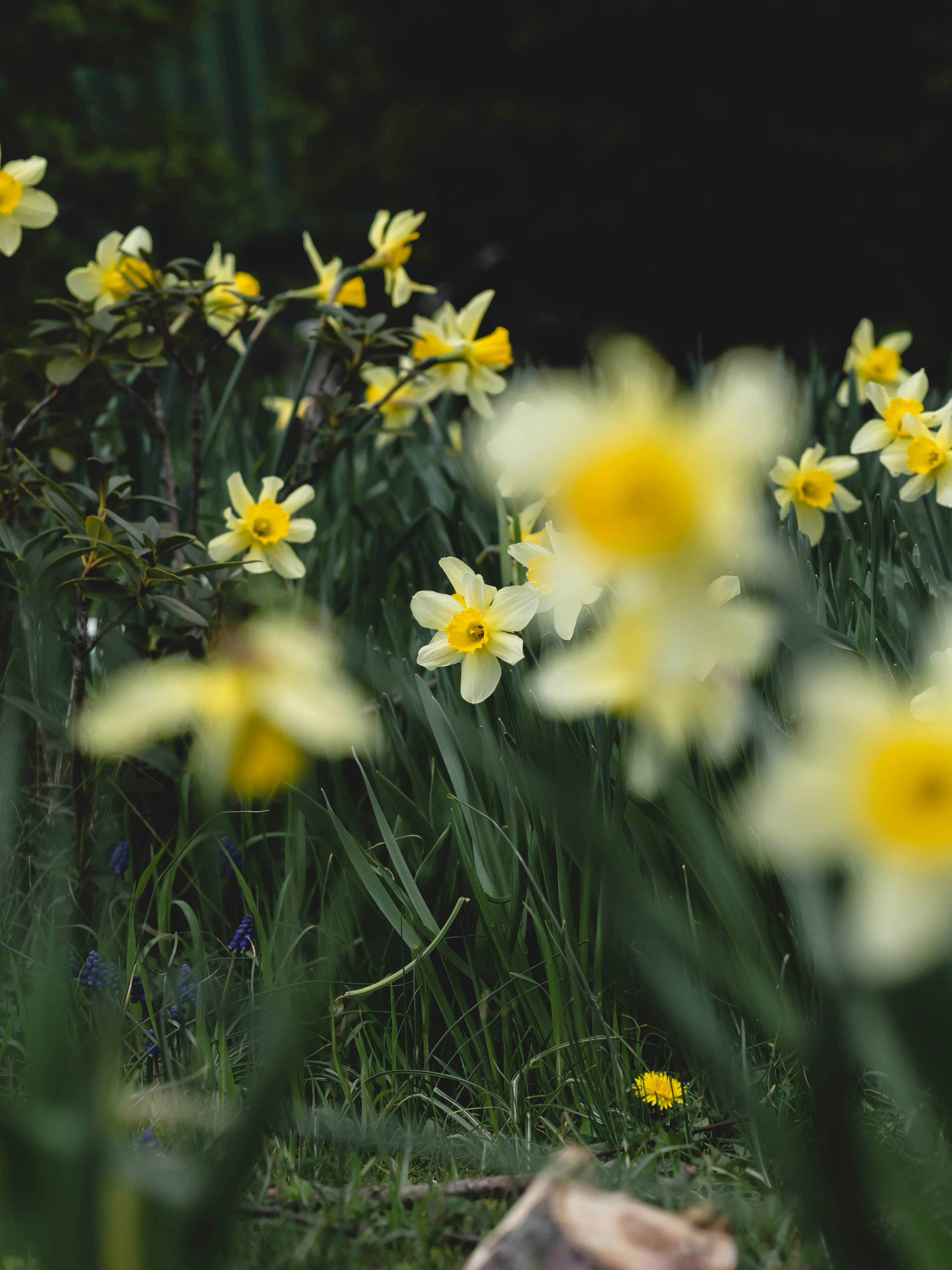 Photo by eileen_kummer