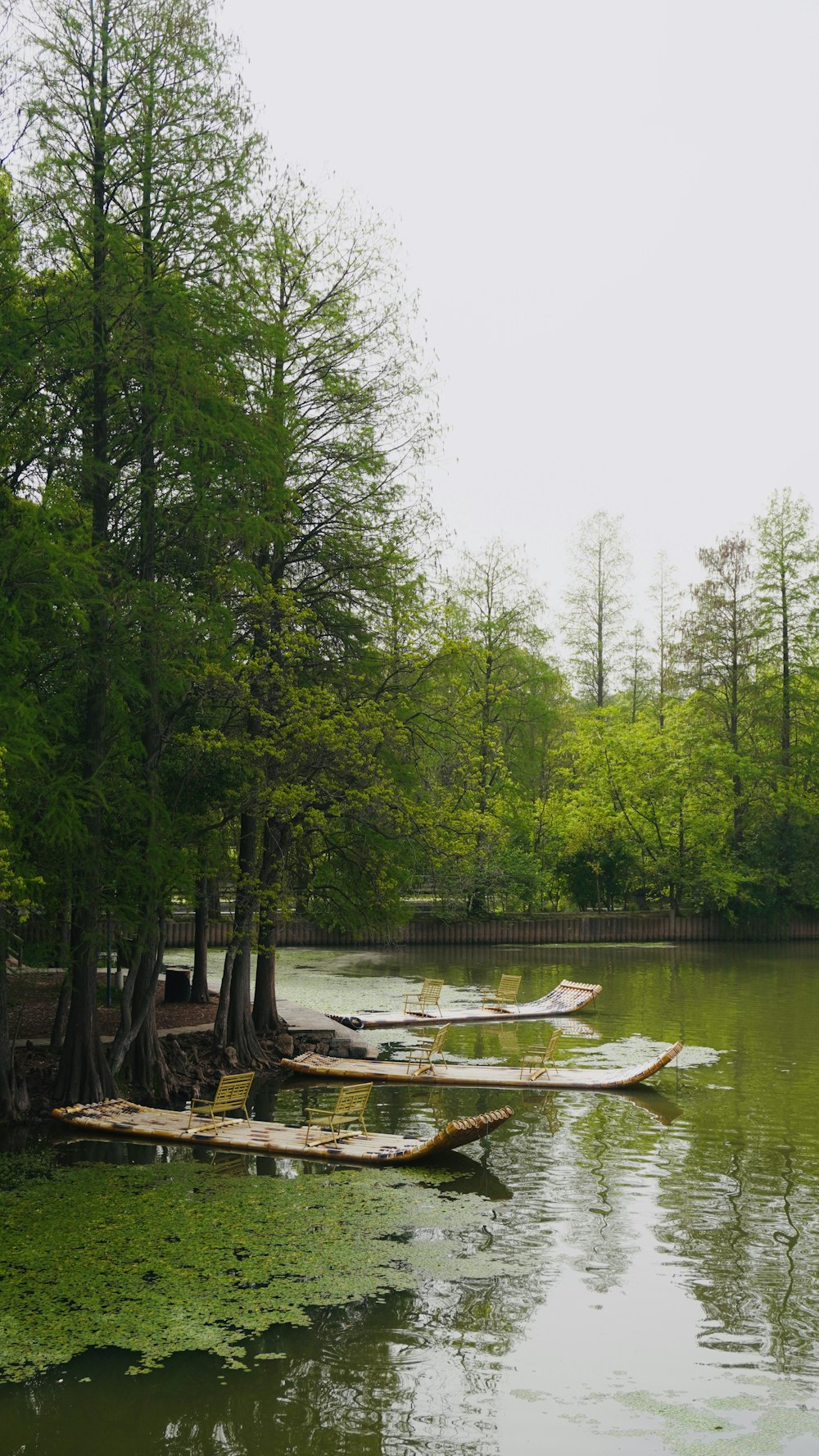 a body of water surrounded by lots of trees