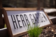 A wooden sign with the words 'HERB GARDEN' is positioned at an angle, partially buried in soil. In front of the sign, green grass or herb shoots emerge from the soil, with sunlight casting shadows behind them. The background is blurred, suggesting a garden environment.