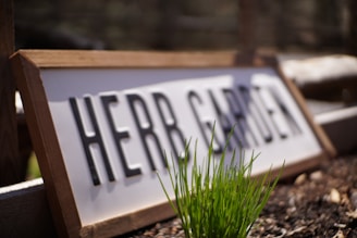 A wooden sign with the words 'HERB GARDEN' is positioned at an angle, partially buried in soil. In front of the sign, green grass or herb shoots emerge from the soil, with sunlight casting shadows behind them. The background is blurred, suggesting a garden environment.