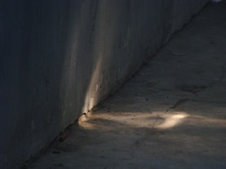 Polished concrete floor reflecting the soft top-down lighting.