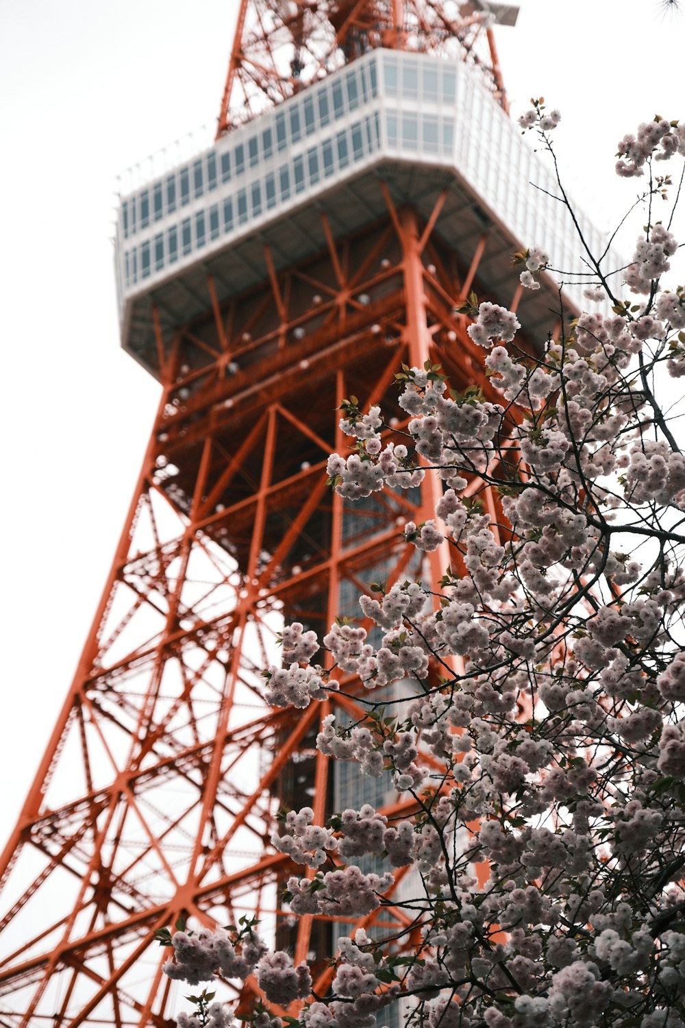 una torre molto alta con un mazzo di fiori di ciliegio su di essa