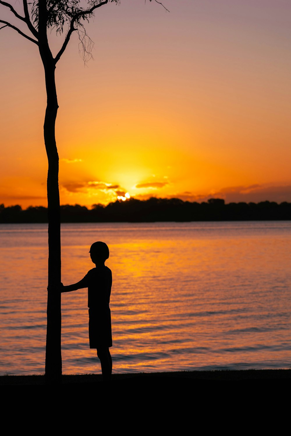 a person standing next to a tree near a body of water