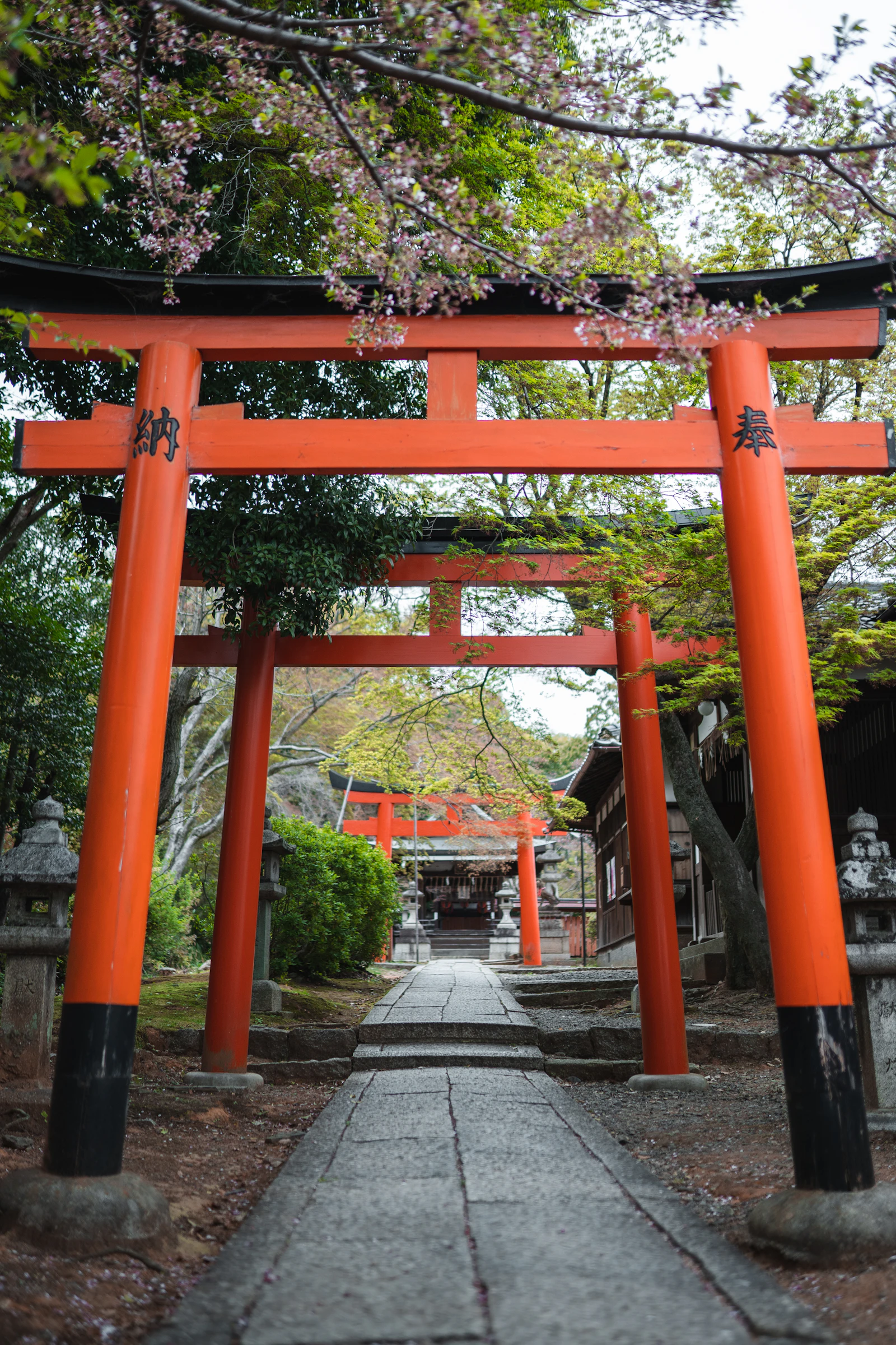 14 Best Things to Do in Kyoto