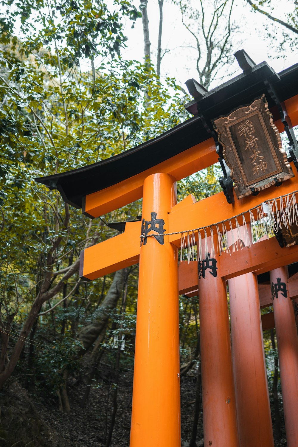 a tall orange and black structure in the woods