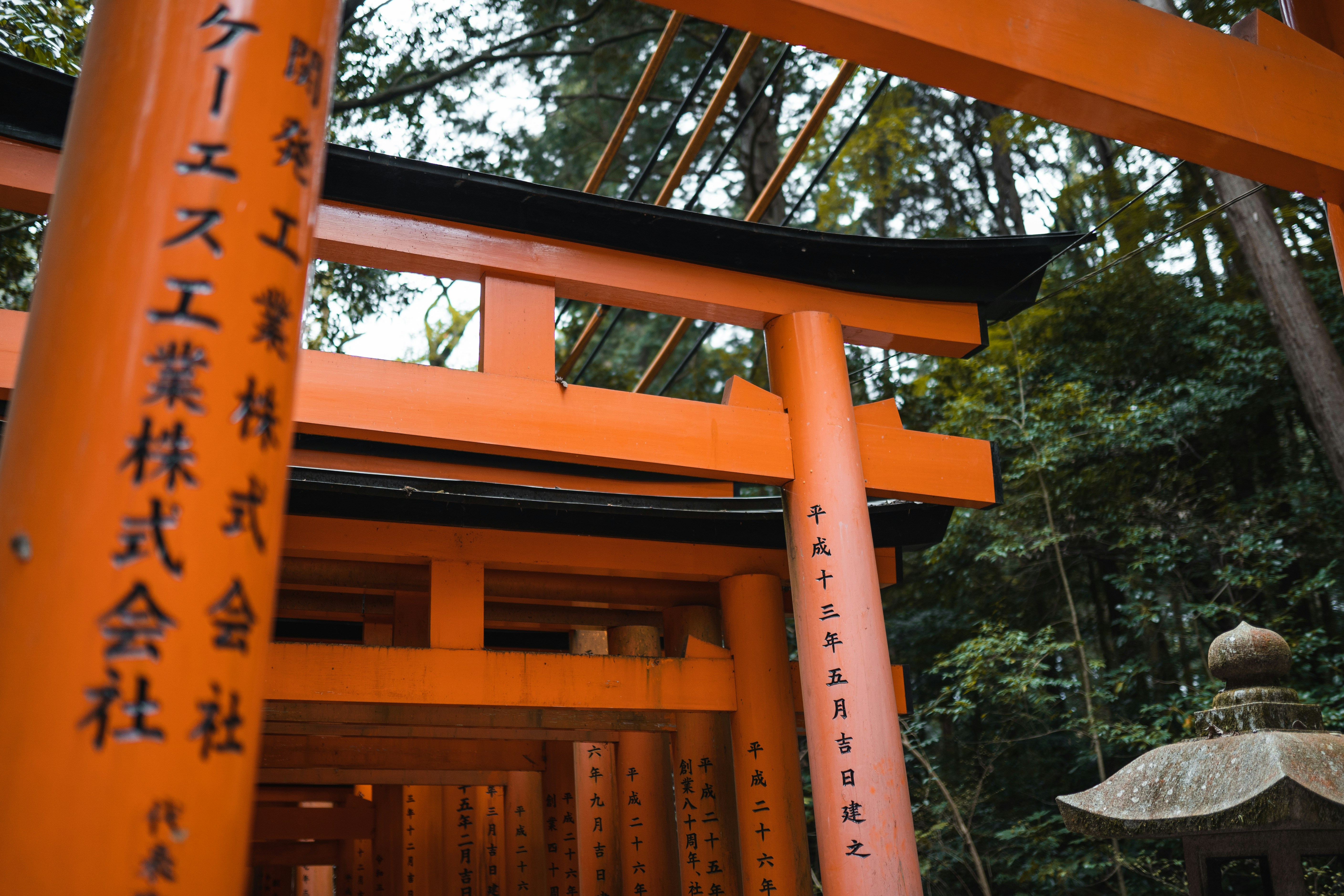 Photo by spensersembrat