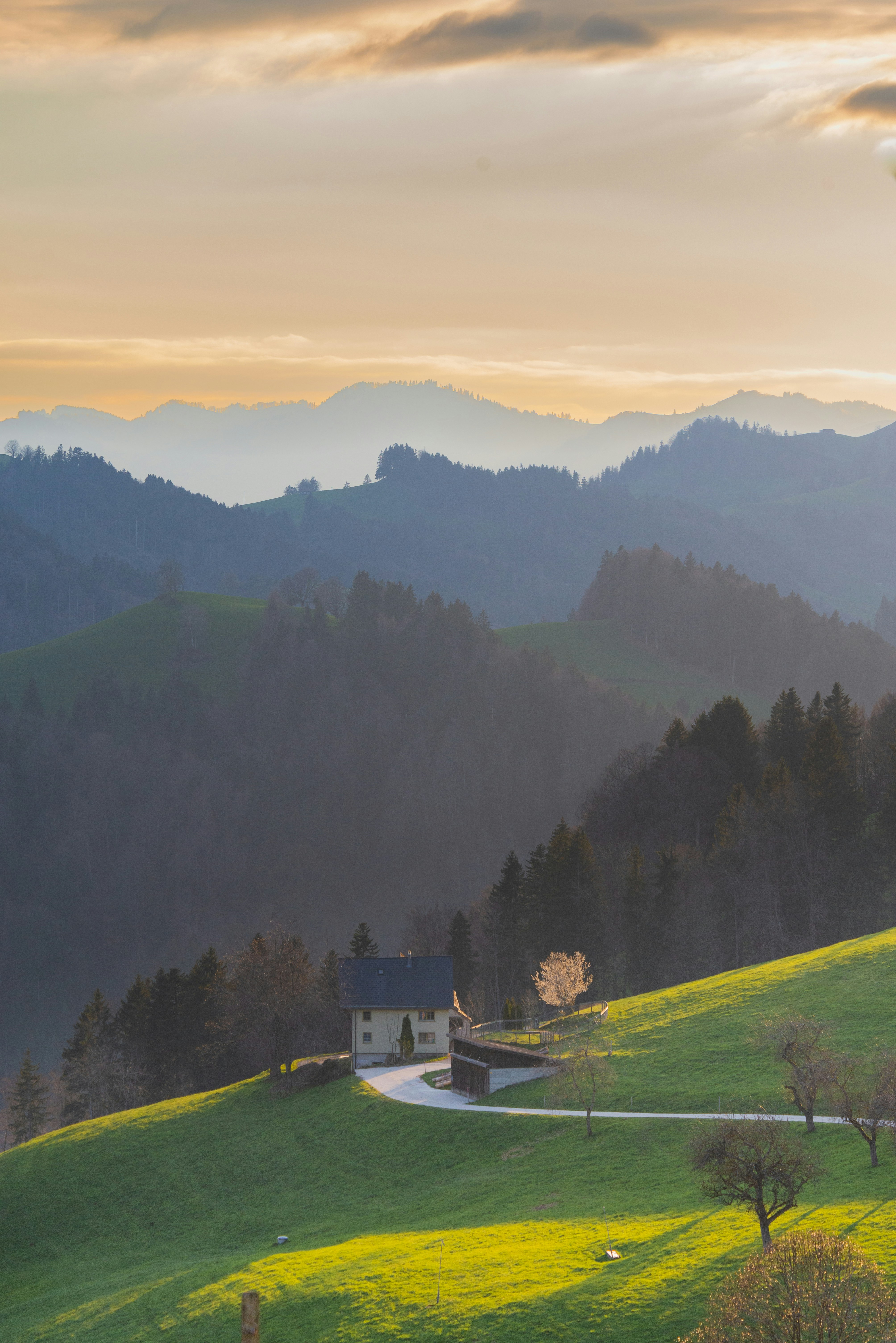 Photo by wladkiselev