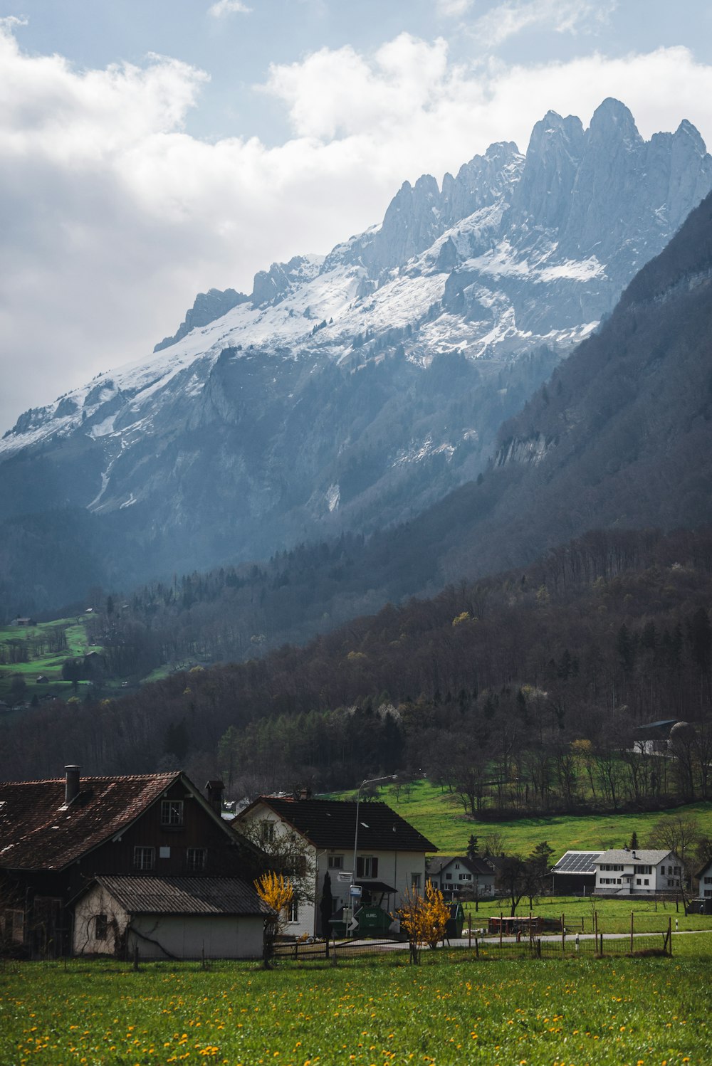 a green field with houses and mountains in the background