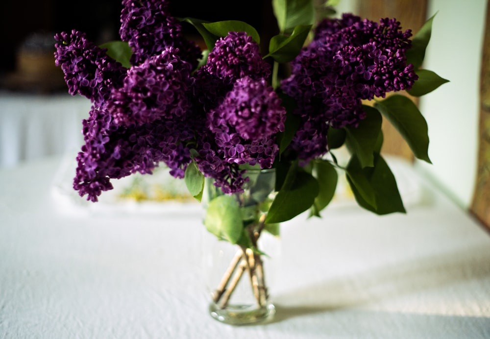 a vase filled with purple flowers on a table