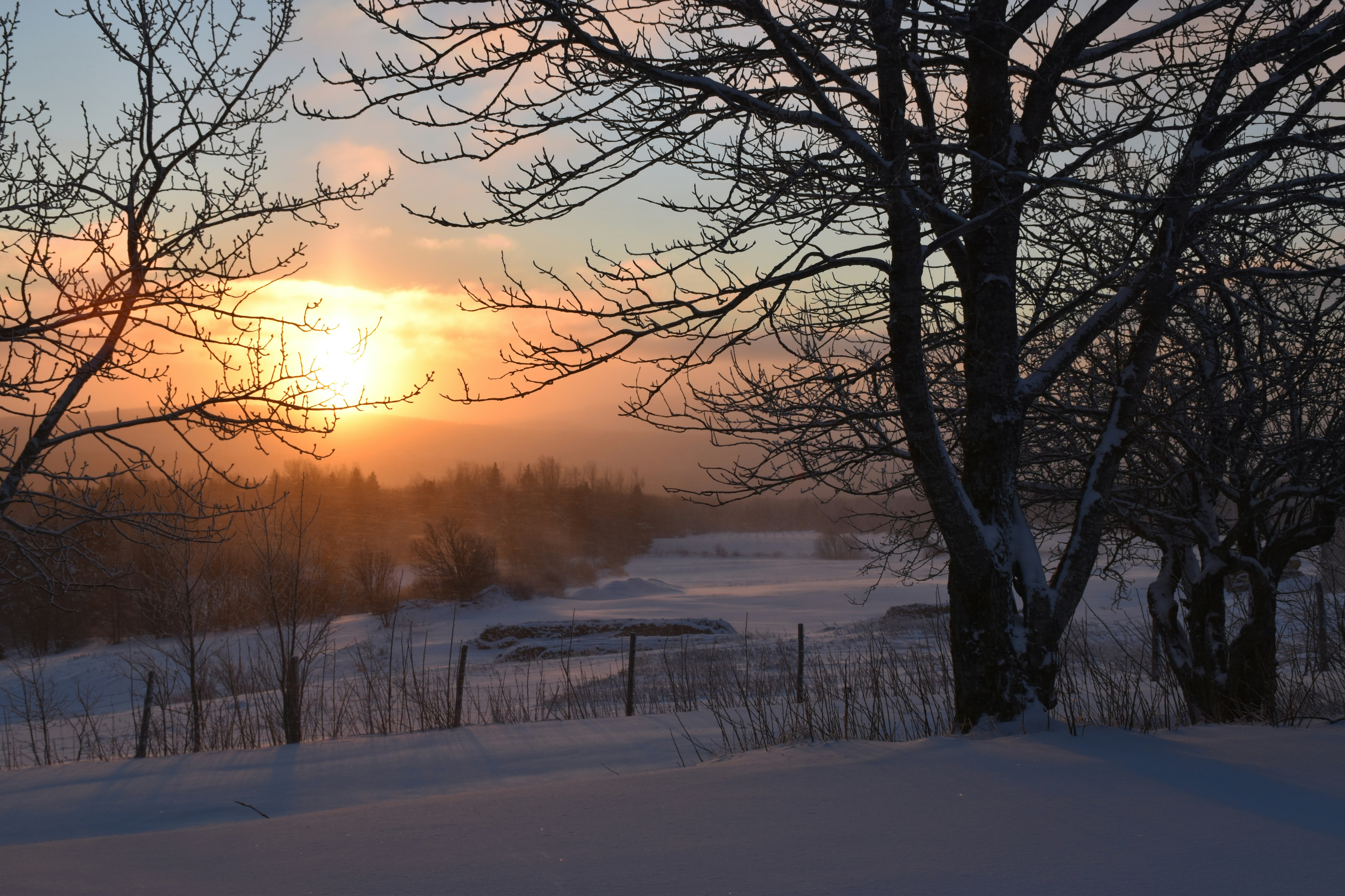 the sun is setting over a snowy field