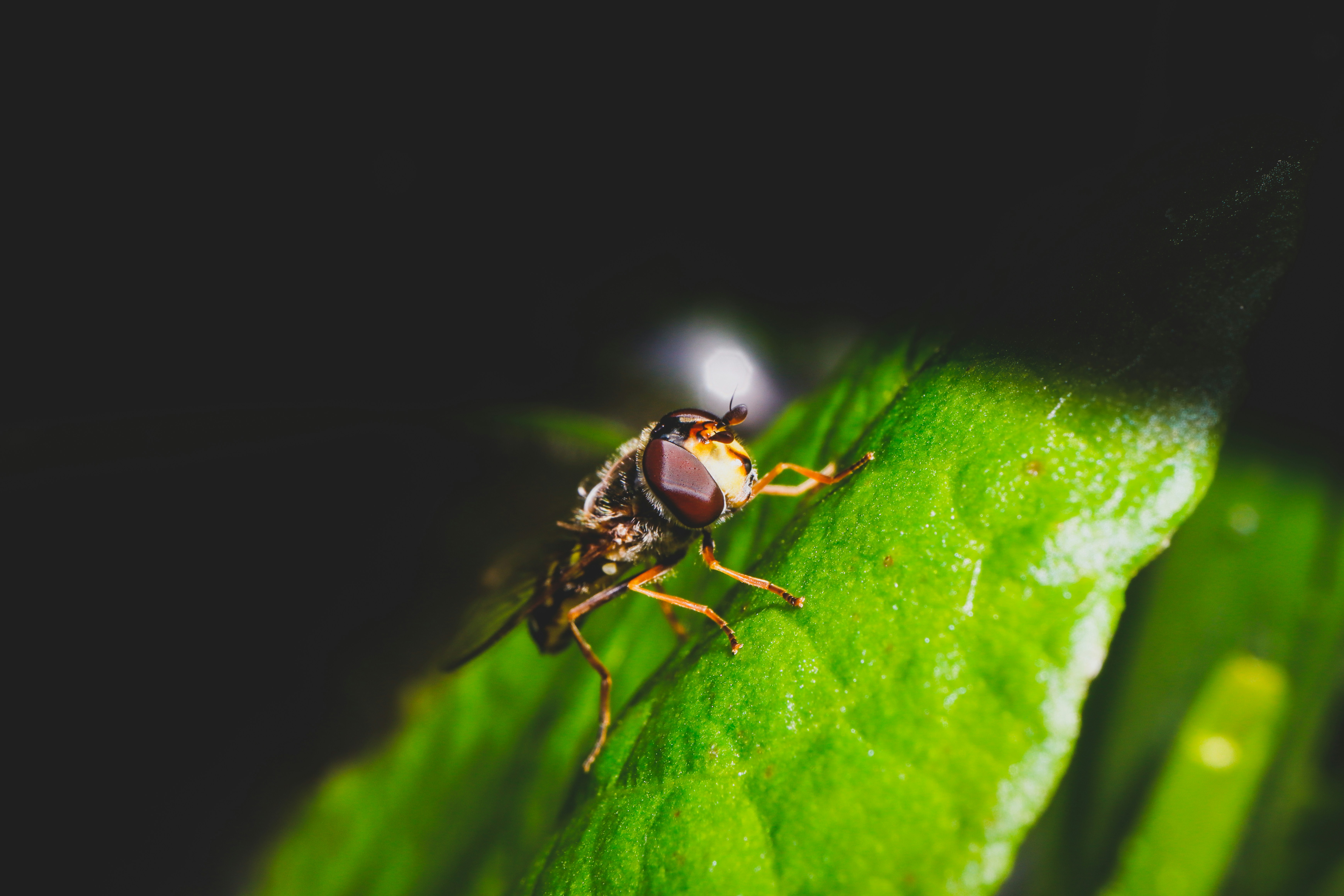 Photo by grievek1610begur