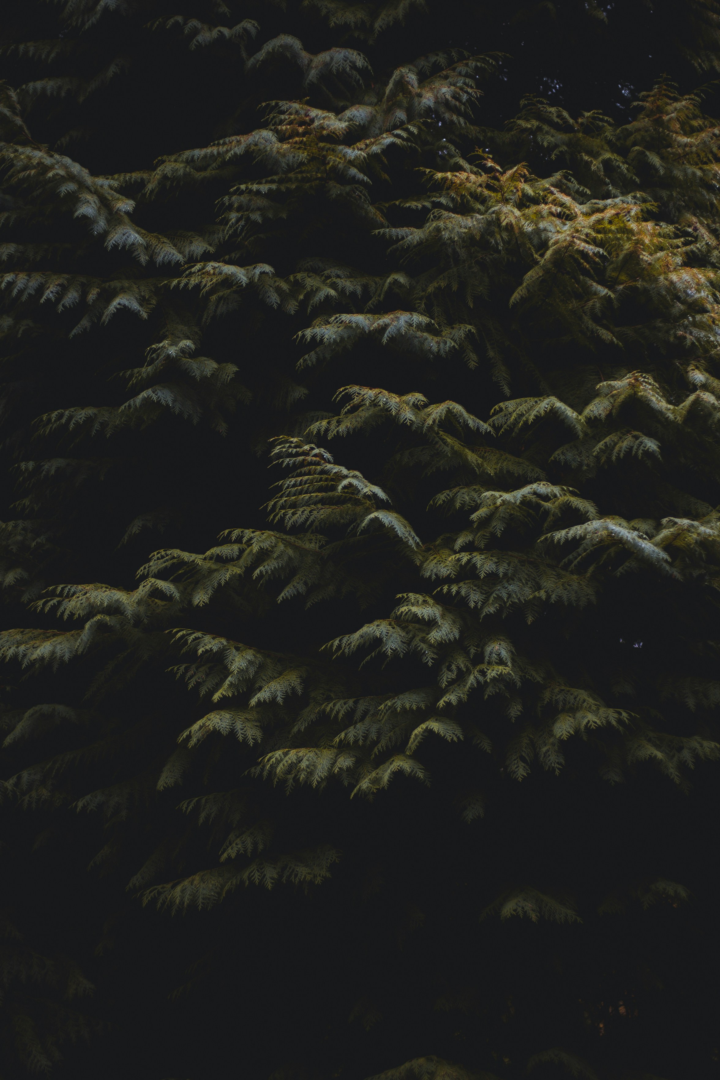 Photo by photographically_pleasing