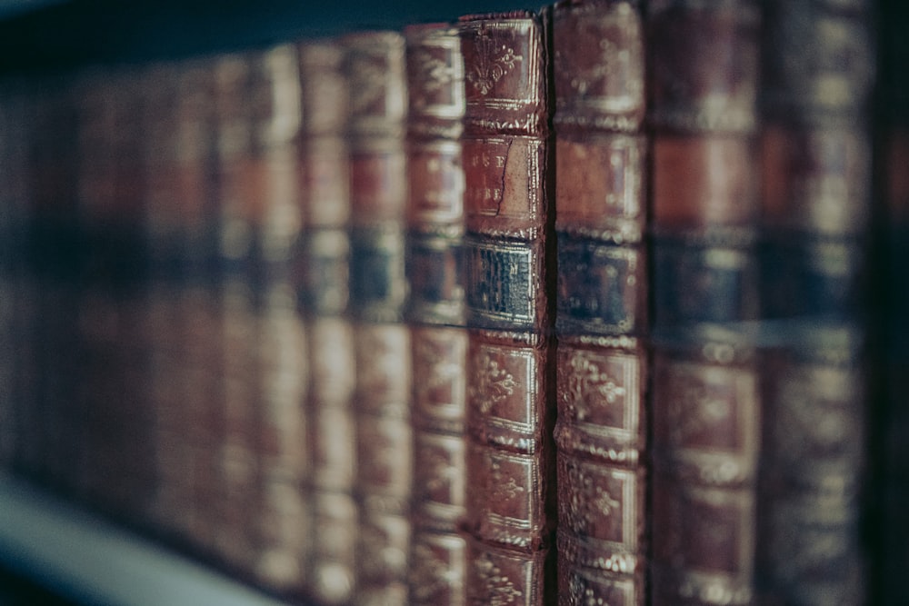 a row of books sitting on top of a shelf