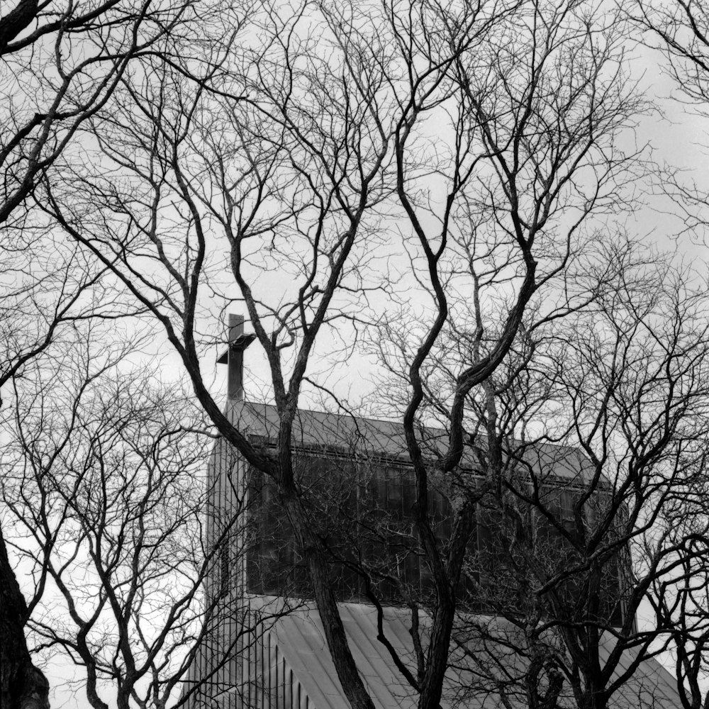 a black and white photo of a church surrounded by trees