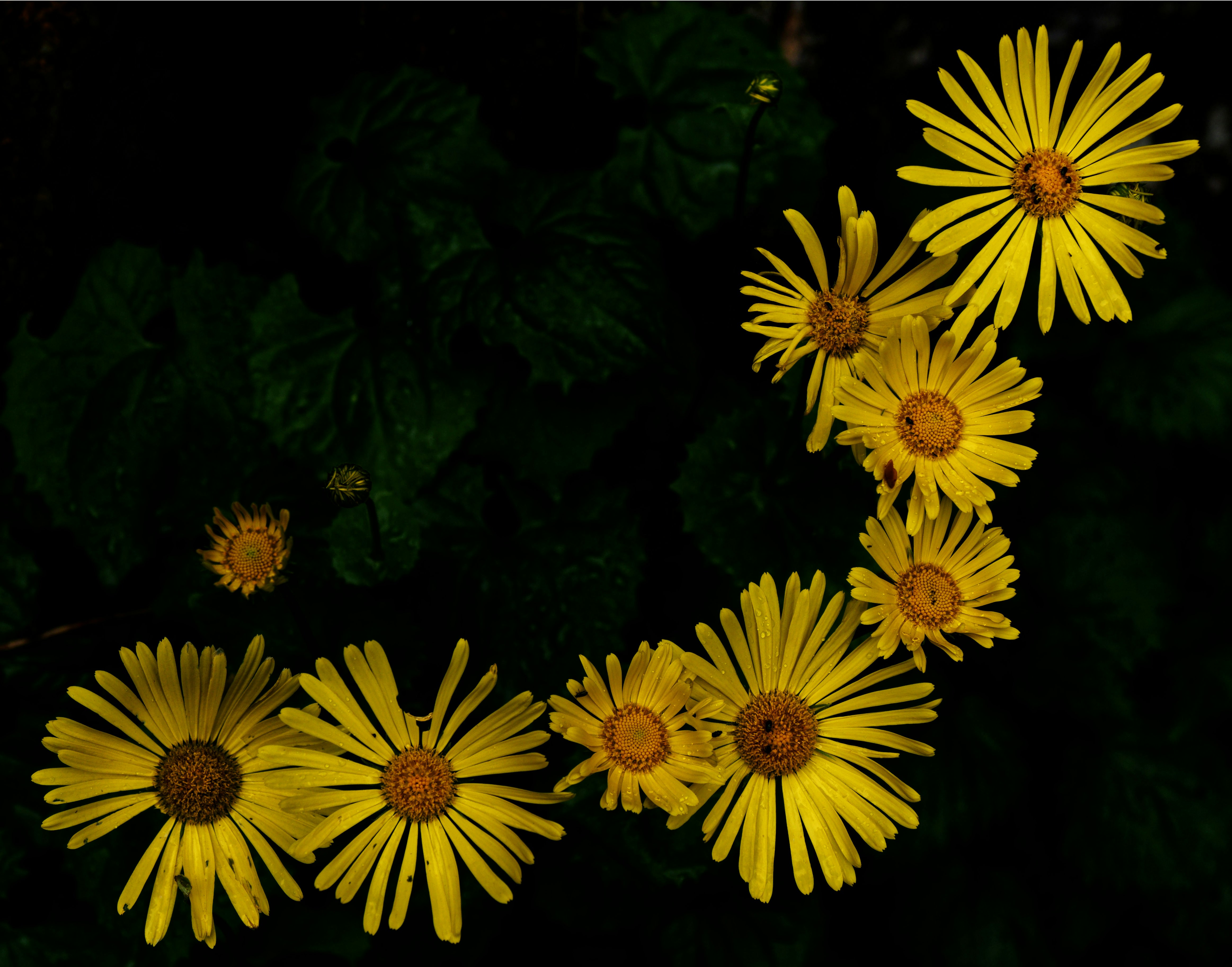 Photo by illes_cristi