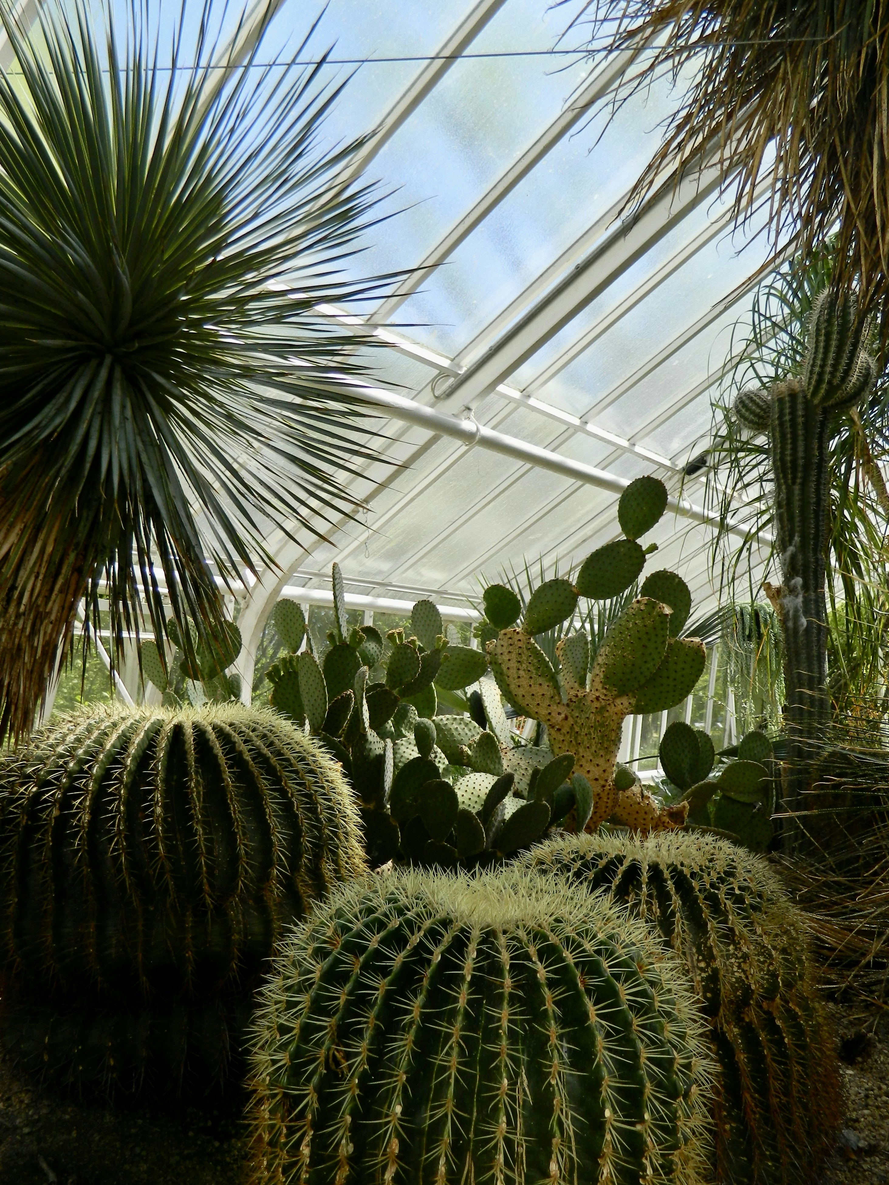 Photo by ezgideliklitas