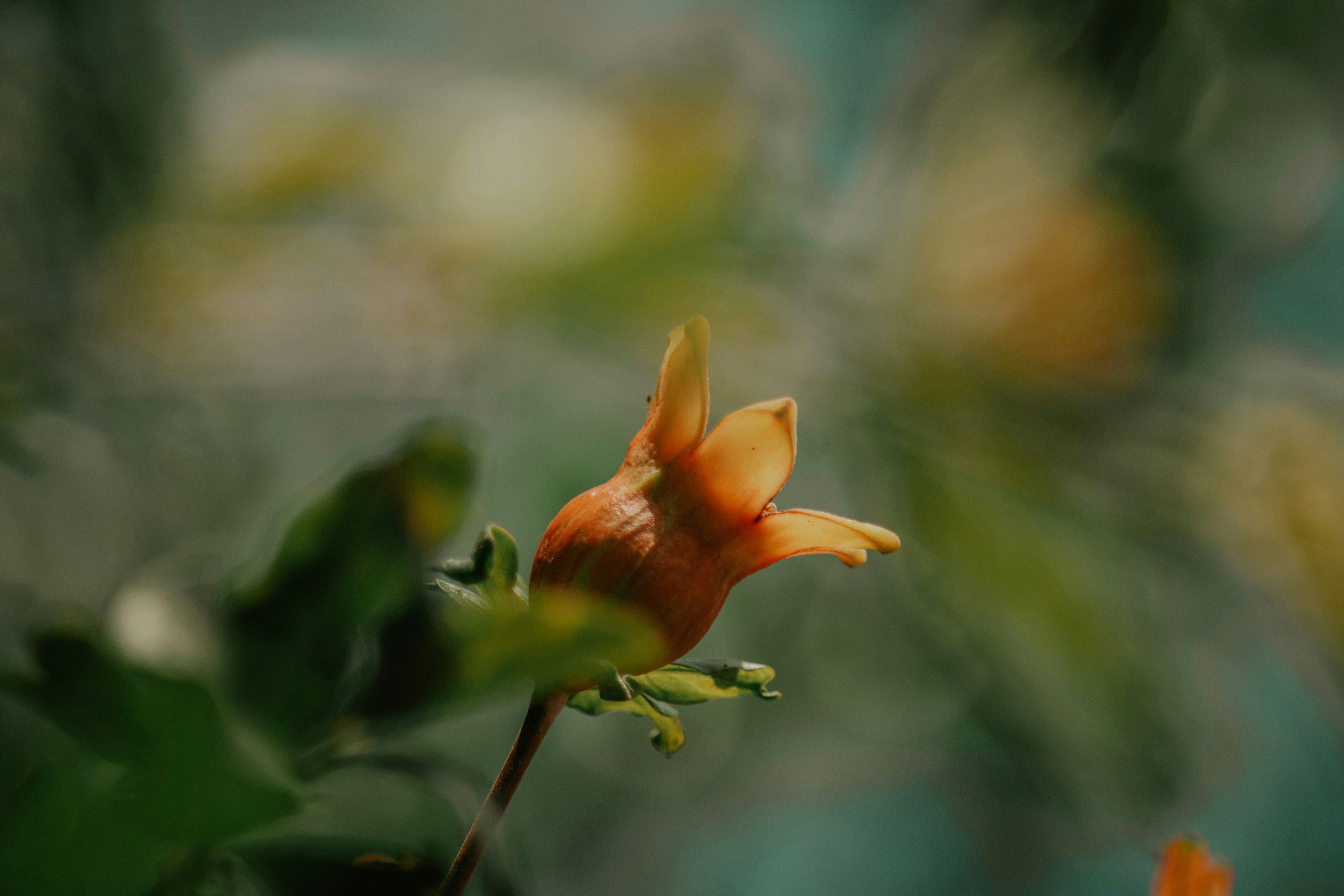 Photo by utunzajiwamazingira