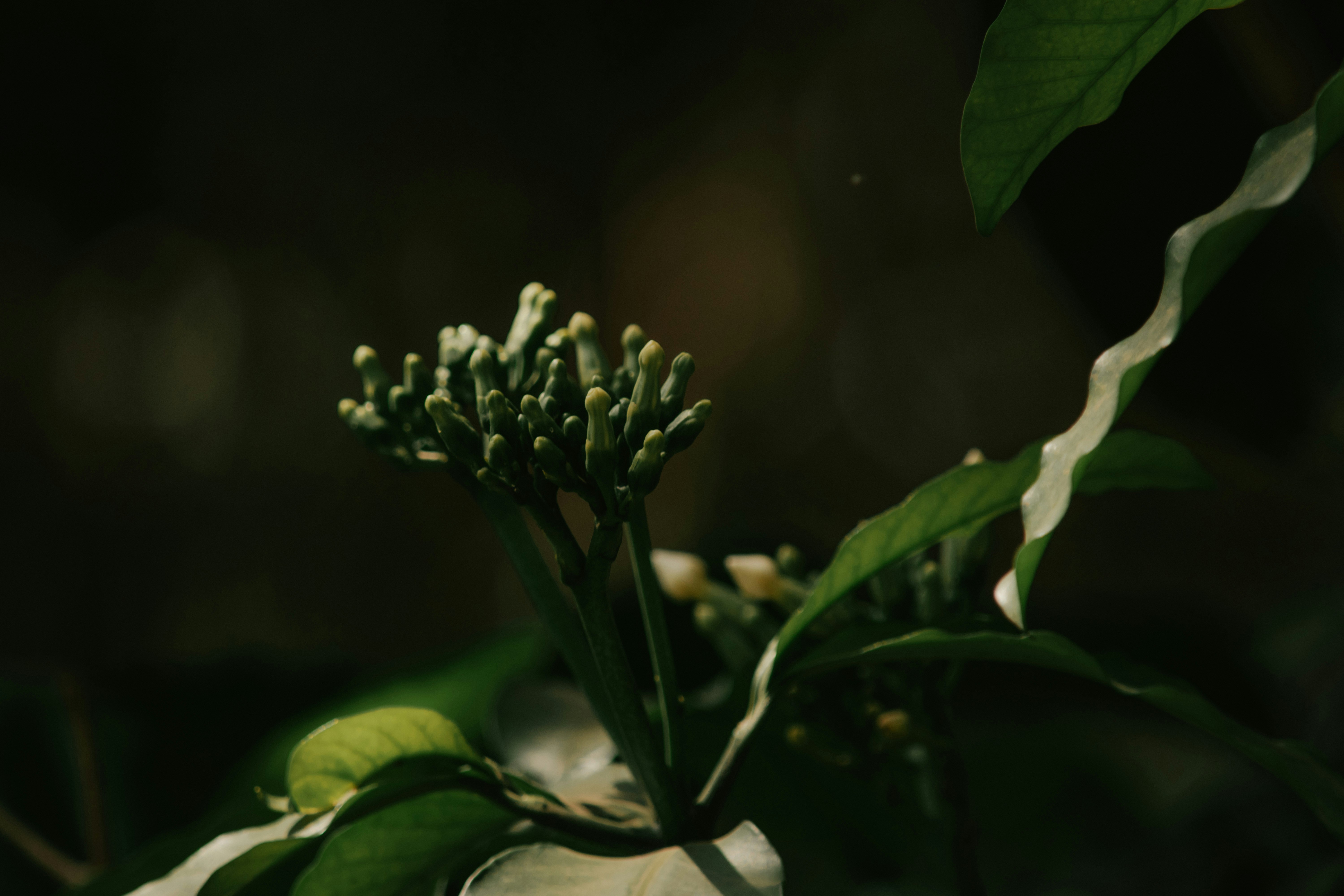 Photo by utunzajiwamazingira