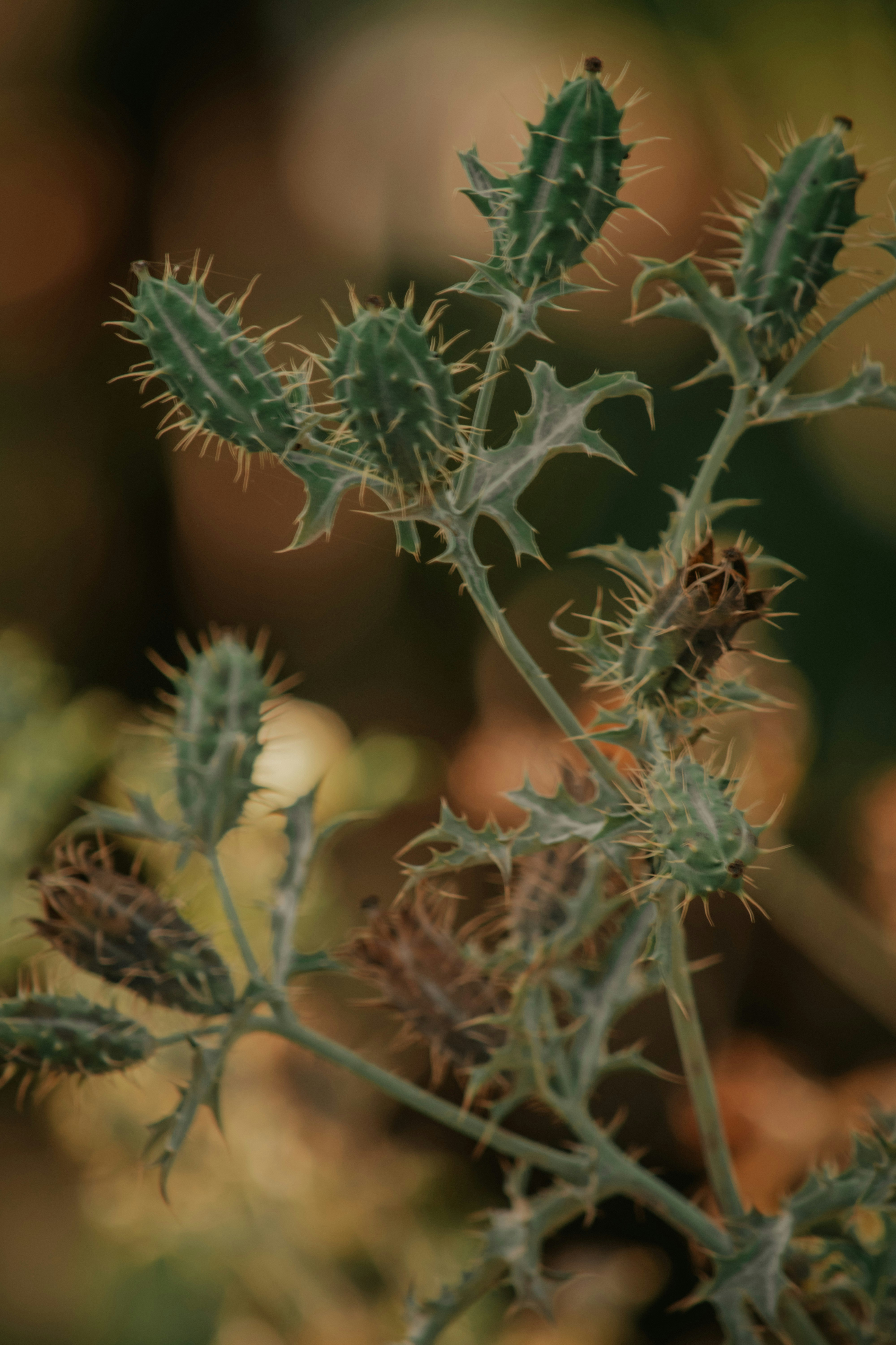 Photo by utunzajiwamazingira