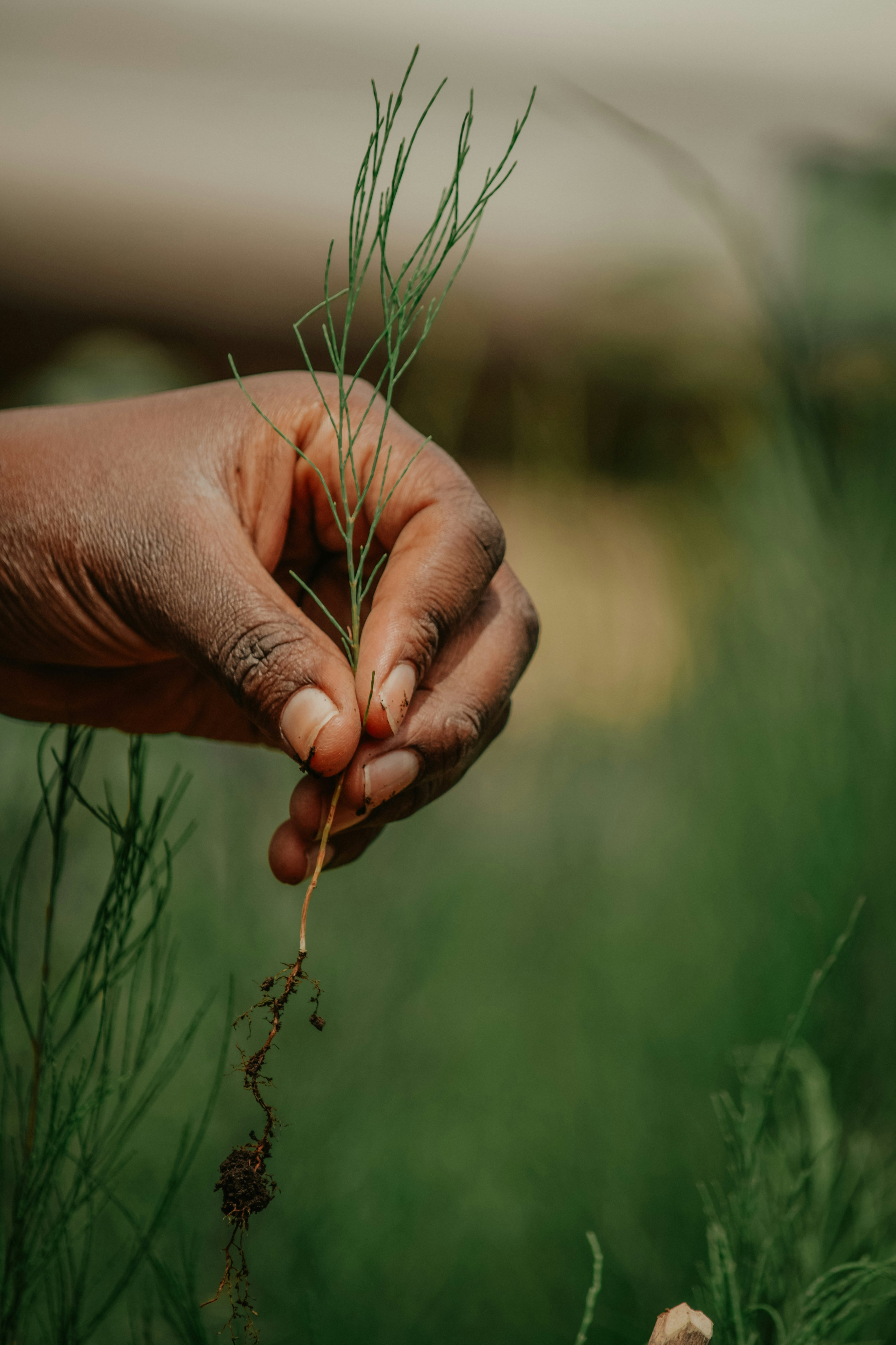 Photo by utunzajiwamazingira