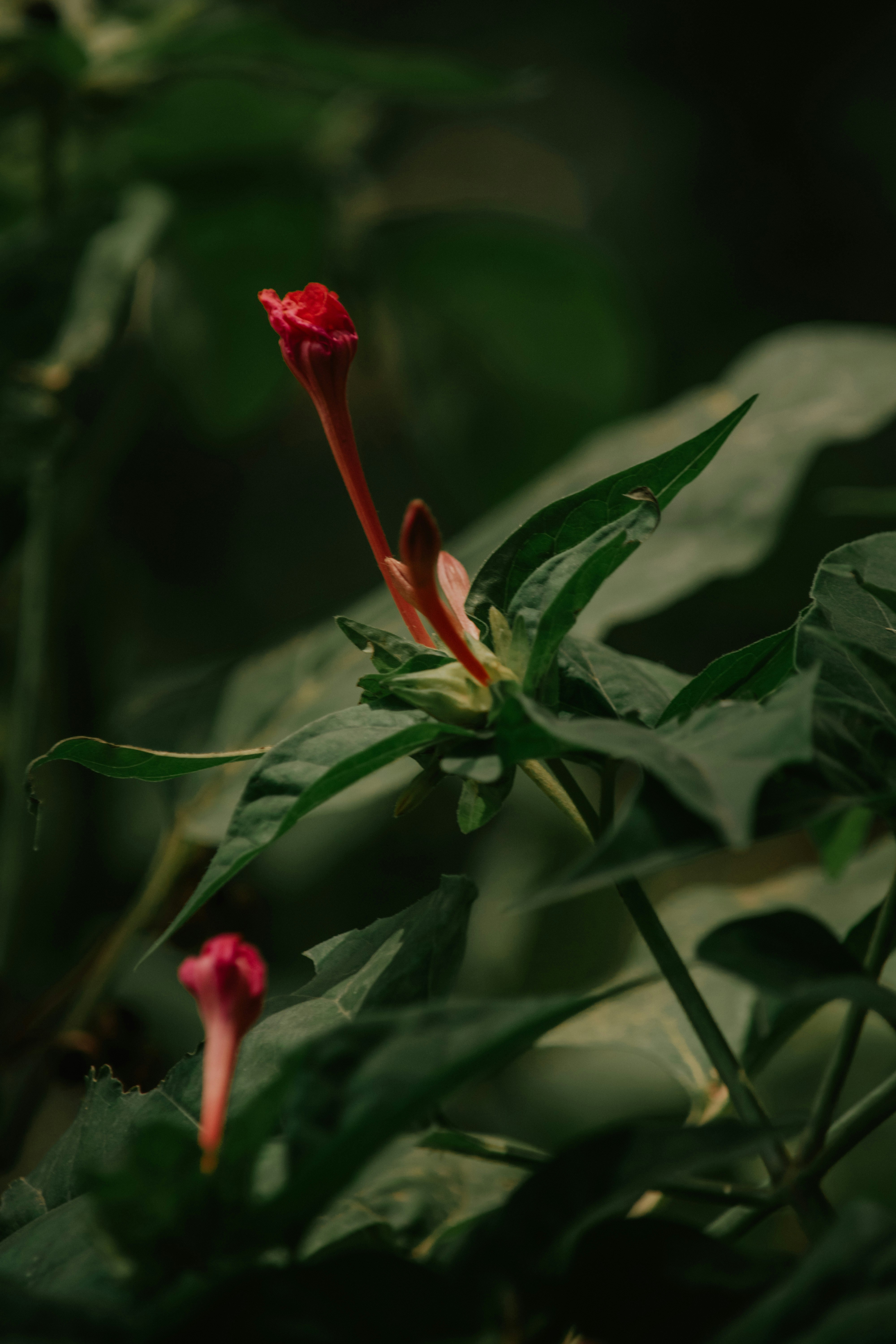 Photo by utunzajiwamazingira